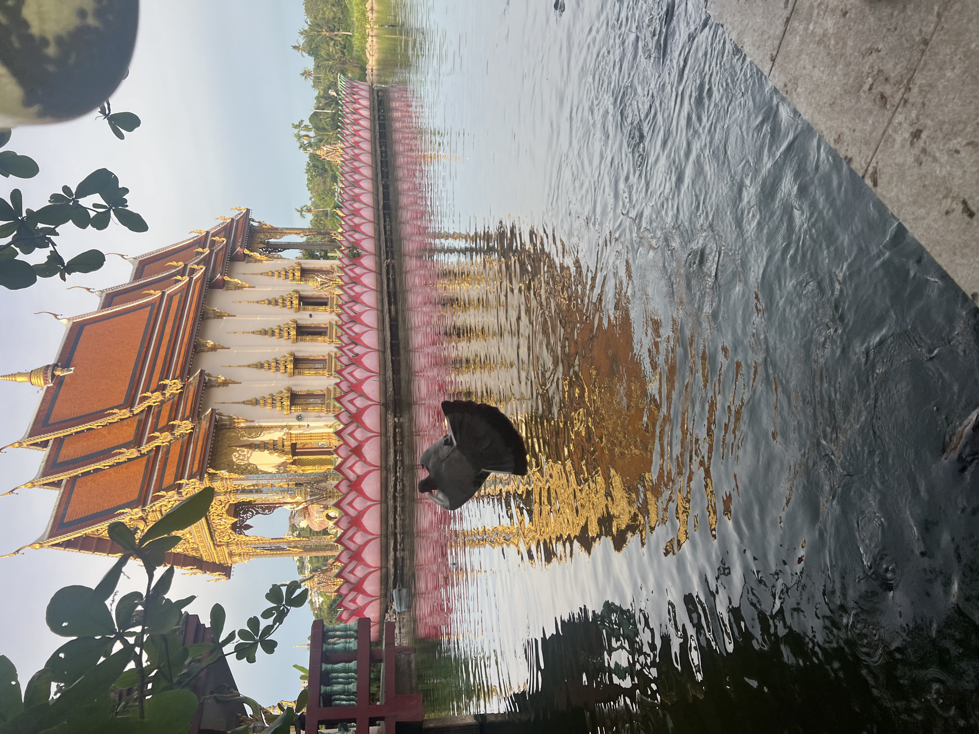 This media file depicts a serene scene at Baan Plai Laem, Thailand. The primary subjects are the ornate, gilded temple structures with their distinctive tiered roofs, reflected in the calm waters of a pond. A decorative pink and white border, resembling lotus petals, runs along the edge of the temple grounds next to the water. In the foreground, dark green foliage from trees partially frames the view of the temple.
The water is a significant element, showing ripples and the shimmering reflections of the temple and surrounding trees. Several dark-colored birds, possibly ducks or coots, are visible in the water, with one bird prominently perched on the surface. The water also appears to have many fish, indicated by subtle disturbances and shadowy forms just beneath the surface. The overall setting suggests a tranquil temple complex, likely a place of worship or a tourist attraction.
The time of day appears to be late afternoon or early evening, suggested by the soft, diffused light and the warm golden hues of the temple reflections in the water. The sky is a pale blue with hints of lighter tones, indicating clear weather. The specific architectural style of the temple, with its intricate gold detailing and vibrant colors, points to a Southeast Asian, likely Thai, location, further supported by the provided location context.
No visible text is present in the image. The mood conveyed is one of peace and natural beauty, enhanced by the interplay of light, water, and architecture. The presence of wildlife adds a lively element to the otherwise still and reflective scene.