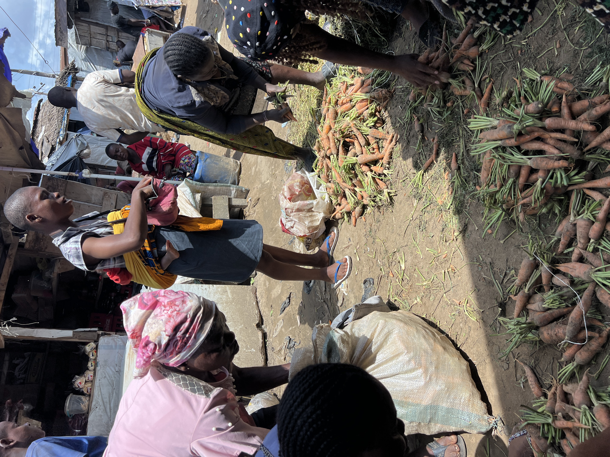 In Oko Amakom, Nigeria, a bustling outdoor market scene unfolds. In the foreground, a pile of fresh carrots with green tops lies on the dusty ground, some still attached to their leafy stems. Several individuals are engaged in handling the produce. One woman, wearing a pink headscarf and dress, bends over a large burlap sack, its opening secured with a string. To her right, another woman in a blue dress and a yellow headscarf is visible from the waist down, wearing flip-flops. Further into the scene, a woman wearing a dark-colored headscarf and a printed skirt is actively sorting and handling carrots, her hands close to the pile. A child in a red and black striped garment sits on a blue bucket in the background, observing the activity. Other people and market stalls are visible in the background, suggesting a lively commercial environment. The overall impression is one of everyday commerce and local produce being prepared for sale.
