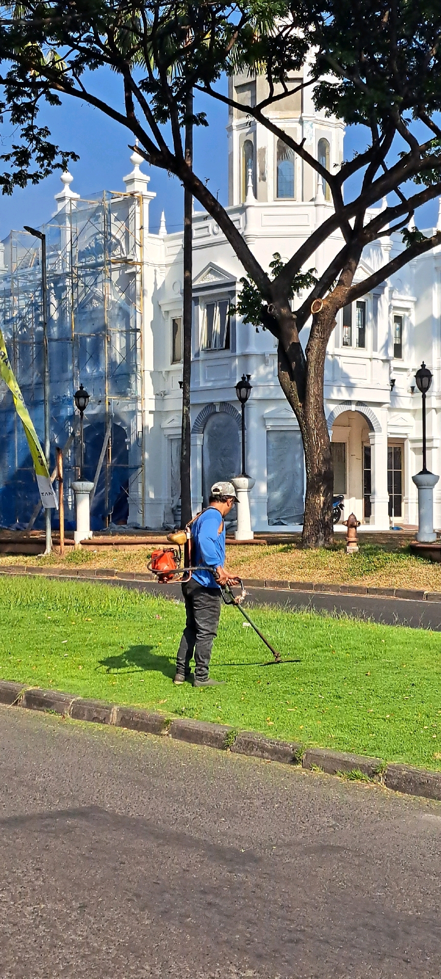 A lone man is trimming grass in front of a white building under construction in Bulukandang, Indonesia. The building, partially covered in scaffolding and blue tarps, has ornate architectural details, including arched windows and decorative molding. A large tree with dark branches partially obscures the view of the building and the sky. The man, wearing a blue shirt, black pants, and a cap, operates a gas-powered string trimmer. He is positioned on a neatly manicured lawn bordered by a concrete curb and a paved road. The scene is illuminated by bright sunlight, casting a shadow of the man on the grass. Streetlights and a fire hydrant are visible in the background.