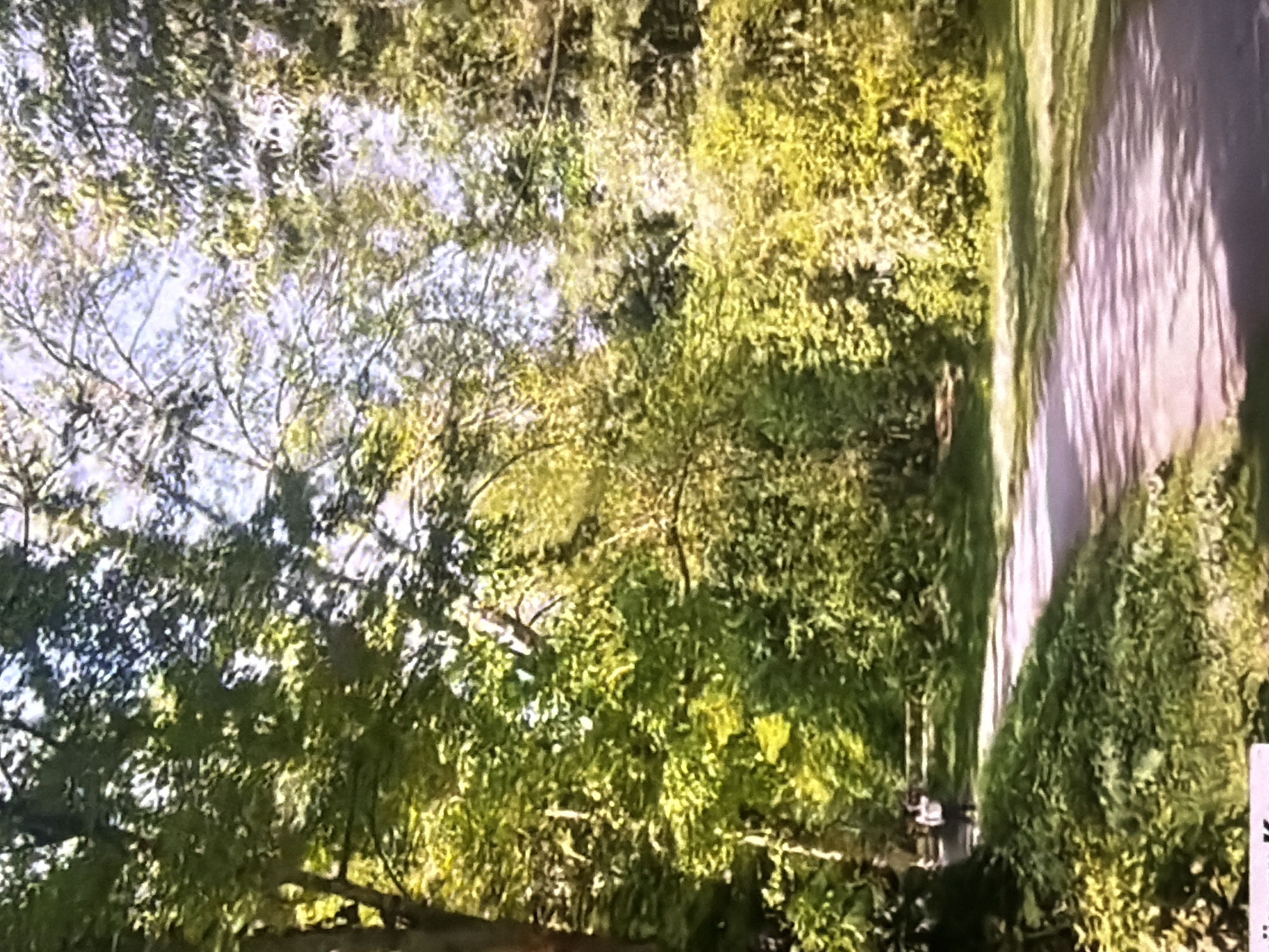 The image depicts a paved walking path winding through a lush, tree-lined park. Sunlight filters through the dense green foliage, casting dappled shadows on the path. In the distance, two individuals, one appearing to be wearing a white top and dark bottoms, are visible walking along the path. The vegetation is vibrant, suggesting a temperate climate. The scene appears to be a peaceful, outdoor recreational area, consistent with a park setting in a city like Bukuru, Nigeria.
