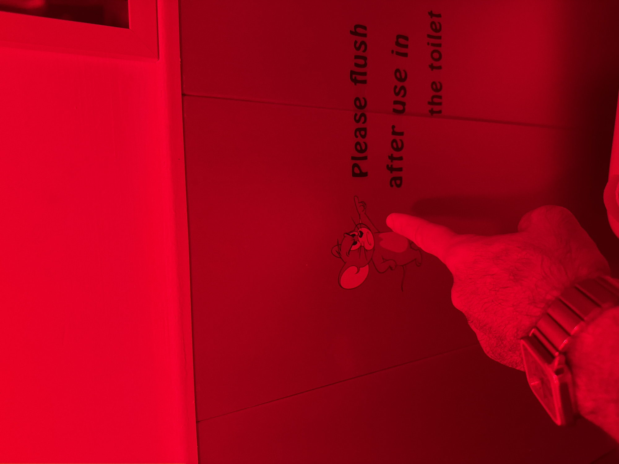 The image displays an interior scene in Tbilisi, Georgia, heavily illuminated by red light. A person's right hand, featuring noticeable hair and a metallic watch with a wide, segmented band, is prominent in the lower left quadrant. Its index finger is extended, pointing upwards and towards a black outline drawing of an angry Jerry Mouse (from Tom and Jerry) located on a plain wall. Jerry Mouse is depicted pointing his right arm horizontally to the right, directing attention to black text printed on the wall. The text reads, "Please flush after use in the toilet." A white-framed fixture, possibly a mirror or window, is partially visible in the upper right corner of the frame.