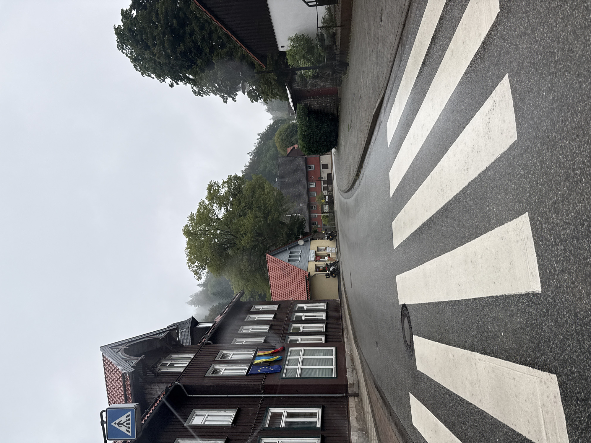 The image depicts a street scene in Walkenried, Germany, likely on a cloudy or rainy day, as evidenced by the wet road surface and overcast sky. In the foreground, a pedestrian crossing with white stripes is clearly visible on the asphalt road. To the left, a dark brown, multi-story building with a red-tiled roof dominates the scene. Several windows with white frames are present on this building, and two flags are hanging from it. A pedestrian crossing sign with a blue background and a white silhouette of a person walking is mounted on a pole above the building's corner. Further down the street, a smaller yellow building with a red-tiled roof is visible, with two motorcycles parked in front of it. Beyond these buildings, more houses and trees are seen, with a hilly, forested landscape in the background shrouded in mist. The overall atmosphere is quiet and somewhat melancholic due to the weather.
