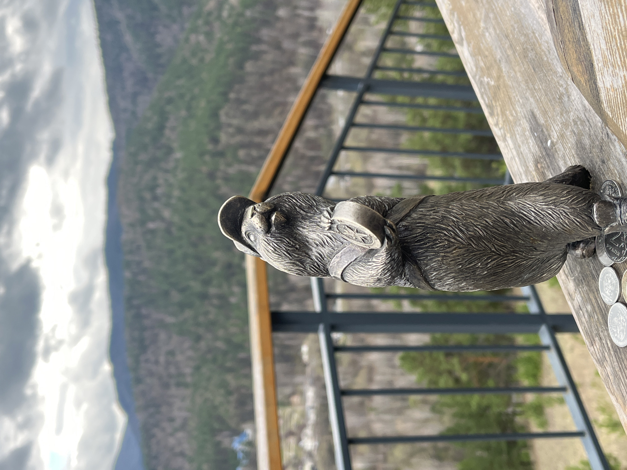 A bronze sculpture of a bear wearing a cap and harness stands on a wooden surface, likely part of a viewpoint structure, as suggested by the metal railing in the background. Several coins lie beside the bear. The background features a blurred landscape of mountains covered with green vegetation, topped by a cloudy sky. This is likely a viewpoint overlooking a scenic area near Krasnoyarsk, Russia.