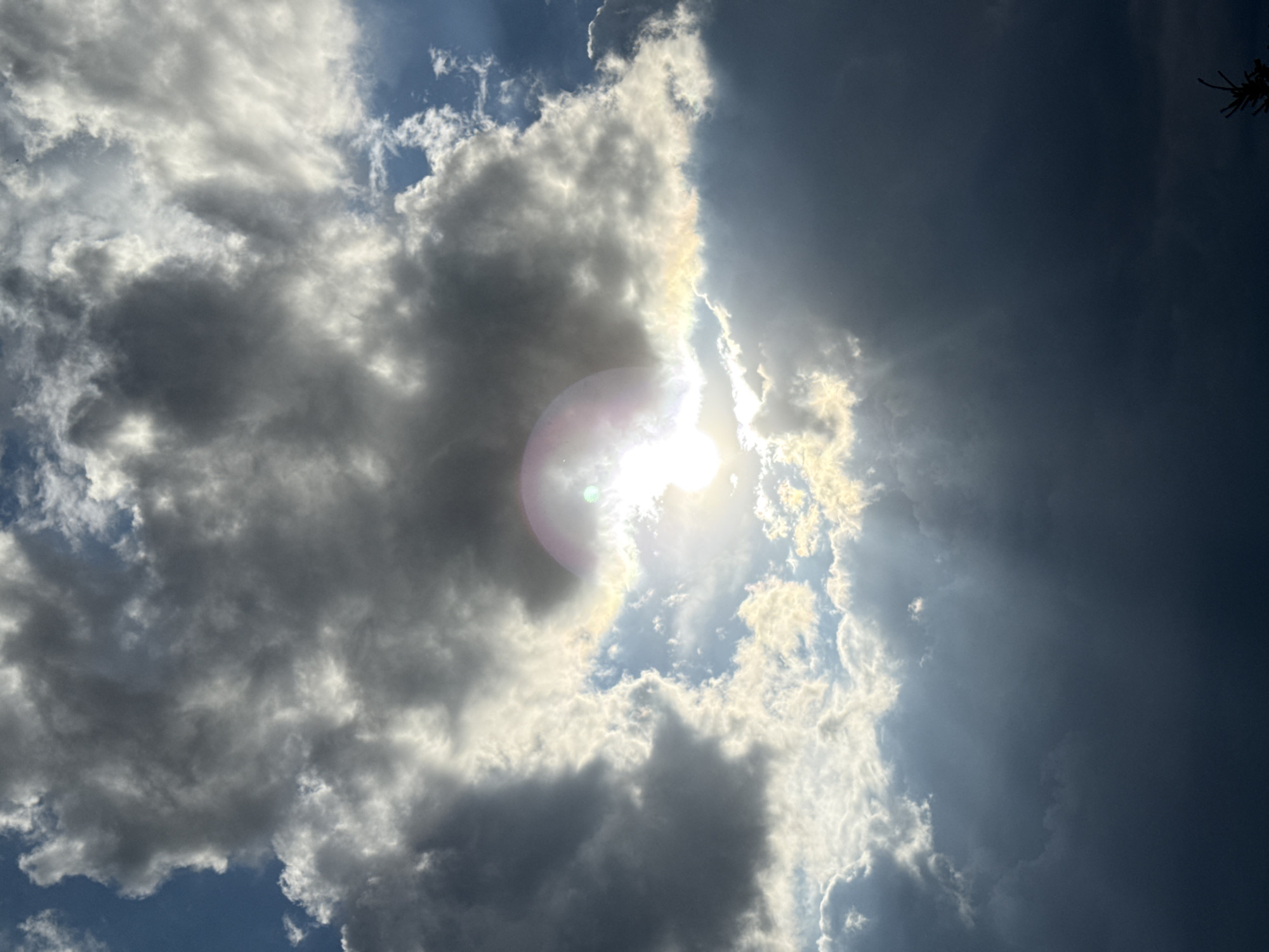 A low-angle, vertical shot captures a dramatic sky filled with dark, heavy clouds and beams of sunlight breaking through. The sun is partially obscured by the clouds, creating a bright, halo-like effect. The lower portion of the image is dominated by dark, ominous clouds, while the upper portion shows patches of bright blue sky and lighter, wispy clouds. There is a faint rainbow-colored lens flare in the upper right quadrant. The bottom right corner shows the silhouette of a tree's branches. The scene is likely taking place outdoors, possibly in or near the city of Olkhovka, Russia, given the context. No people or specific objects are identifiable within the frame, apart from the clouds and the tree silhouette.