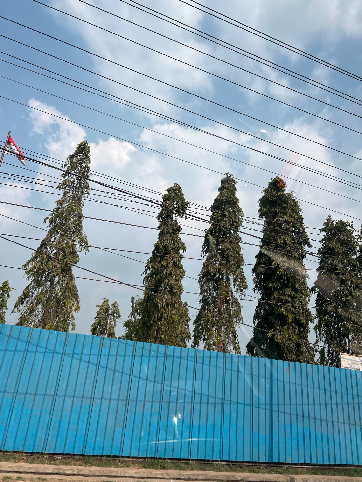 In Secang, Indonesia, a bright blue metal fence stretches across the lower portion of the image, obscuring the ground beneath it. Above the fence, a line of tall, slender trees with dense green foliage stands silhouetted against a partly cloudy sky. Several power lines run horizontally across the frame, intersecting the trees. A small flag, predominantly red and white, is visible on a flagpole to the far left, partially obscured by the trees and power lines. The overall scene suggests an outdoor environment, possibly along a road or construction site, under a clear, bright day.