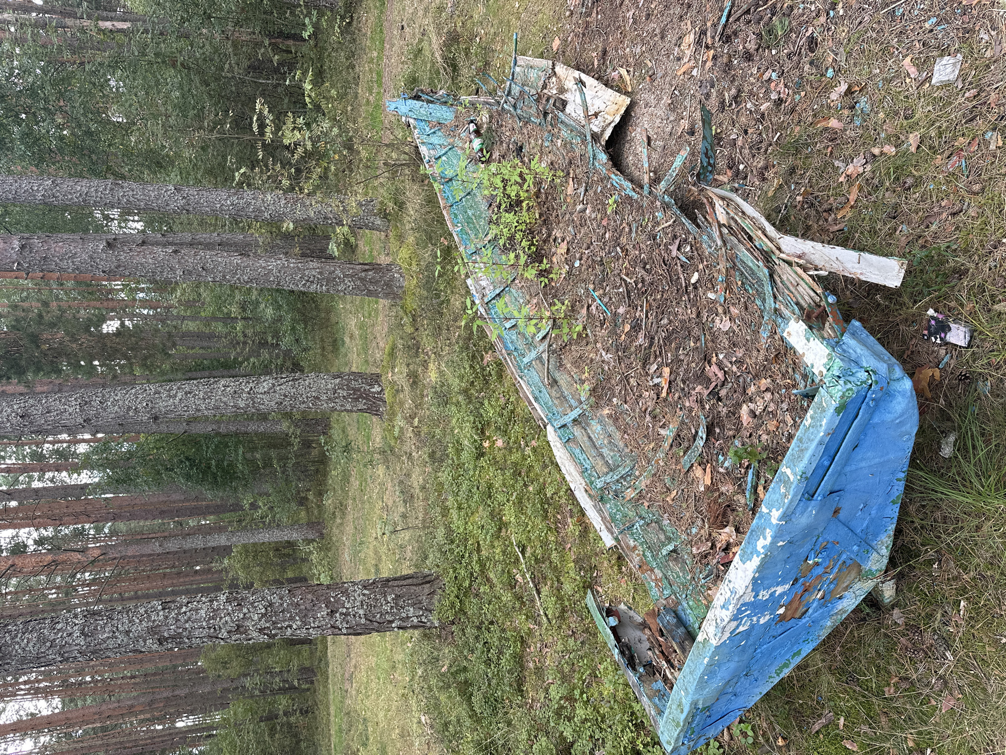 An abandoned, dilapidated wooden rowboat lies in the undergrowth of a pine forest in Нарацкі сельскі Савет, Belarus. The boat, painted primarily blue with green accents, is severely damaged, with its wooden planks rotting and peeling away. The interior is filled with debris, including leaves, pine needles, and small plants growing through the broken structure. The surrounding environment is typical of a temperate forest, with tall pine trees, a forest floor covered in grass, moss, and fallen pine cones, and dappled sunlight filtering through the canopy. The overall impression is one of neglect and the slow reclamation of man-made objects by nature.
