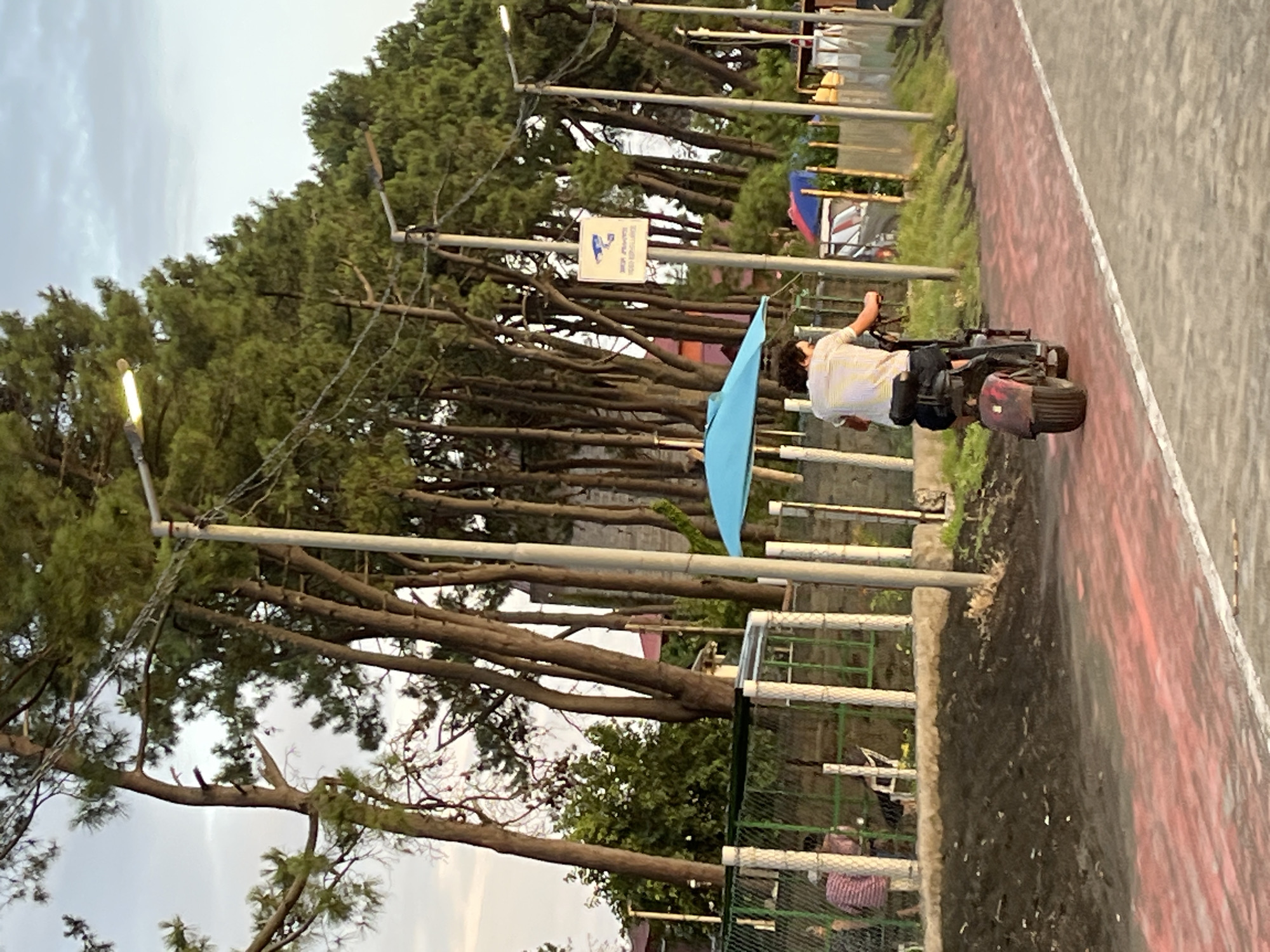 The image depicts a street scene in Ureki, Georgia, characterized by a paved walkway with a red and white striped pattern, bordered by a dirt and grass embankment. A person is riding a scooter with a bright blue umbrella attached, moving along the walkway. Tall, slender pine trees line the background, interspersed with streetlights and a fence. Beyond the fence, there are glimpses of buildings with red roofs and other people. The sky above is overcast.