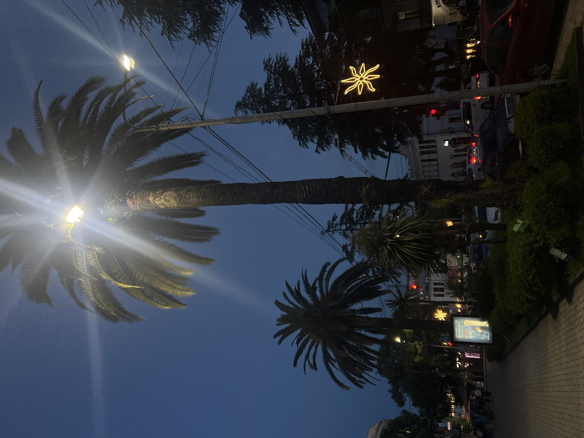 The image captures a street scene in an urban environment at dusk or night. The foreground features a paved sidewalk with a dark green landscaped area on the right. Several vehicles, including a red sedan, a dark sedan, and a white van, are visible on the street.
Dominating the scene are tall palm trees with large fronds, one of which is directly in front of a bright street lamp that causes significant glare. Another palm tree stands to the left. Various types of trees, including what appear to be evergreen conifers, are interspersed throughout the background.
Buildings are visible behind the trees, with some featuring illuminated windows. Street lights, including one shaped like a yellow starburst, are present. Power lines crisscross the sky. A digital billboard displaying a person in a suit and Russian text is positioned near the sidewalk. Pedestrians are faintly visible on the sidewalk further down the street. A traffic light shows a red signal. The sky is a deep blue, indicating twilight or nightfall.