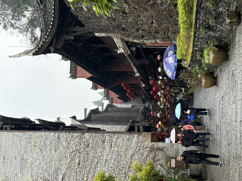The image displays a narrow, wet cobblestone street flanked by traditional Chinese architecture in Pengshui Miao and Tujia Autonomous County, China. The environment is overcast, indicating recent or ongoing light precipitation, as evidenced by reflective wet surfaces and individuals using umbrellas.
On the left, a tall building constructed from grey brick with visible mortar lines rises vertically, its surface partially covered by dried vine growth. Elements of dark wood and curved eaves are visible in its upper sections. On the right, a sequence of multi-story traditional buildings features dark wooden facades, prominent red structural pillars, and distinctive curved, tiled roofs. The closest structure on the right exhibits an ornate roof finial and is bordered by a low, rough-hewn stone wall topped with green shrubbery and potted plants in large, earthen-toned vessels.
Numerous lanterns, predominantly red but also multi-colored, are strung across the street, suspended between the buildings at varying heights. A large blue advertising umbrella, bearing white Chinese characters "脉动" (Mài Dòng), is open on the right side of the street.
Approximately seven to eight individuals are walking on the wet cobblestone pavement in the middle ground. Several are holding open umbrellas, including one light blue and one white with a partial red logo. All individuals are dressed in dark, practical outerwear. Sparse green foliage is visible on the far left and along the stone wall on the right. The street recedes into the background, revealing more traditional buildings beneath an overcast sky.