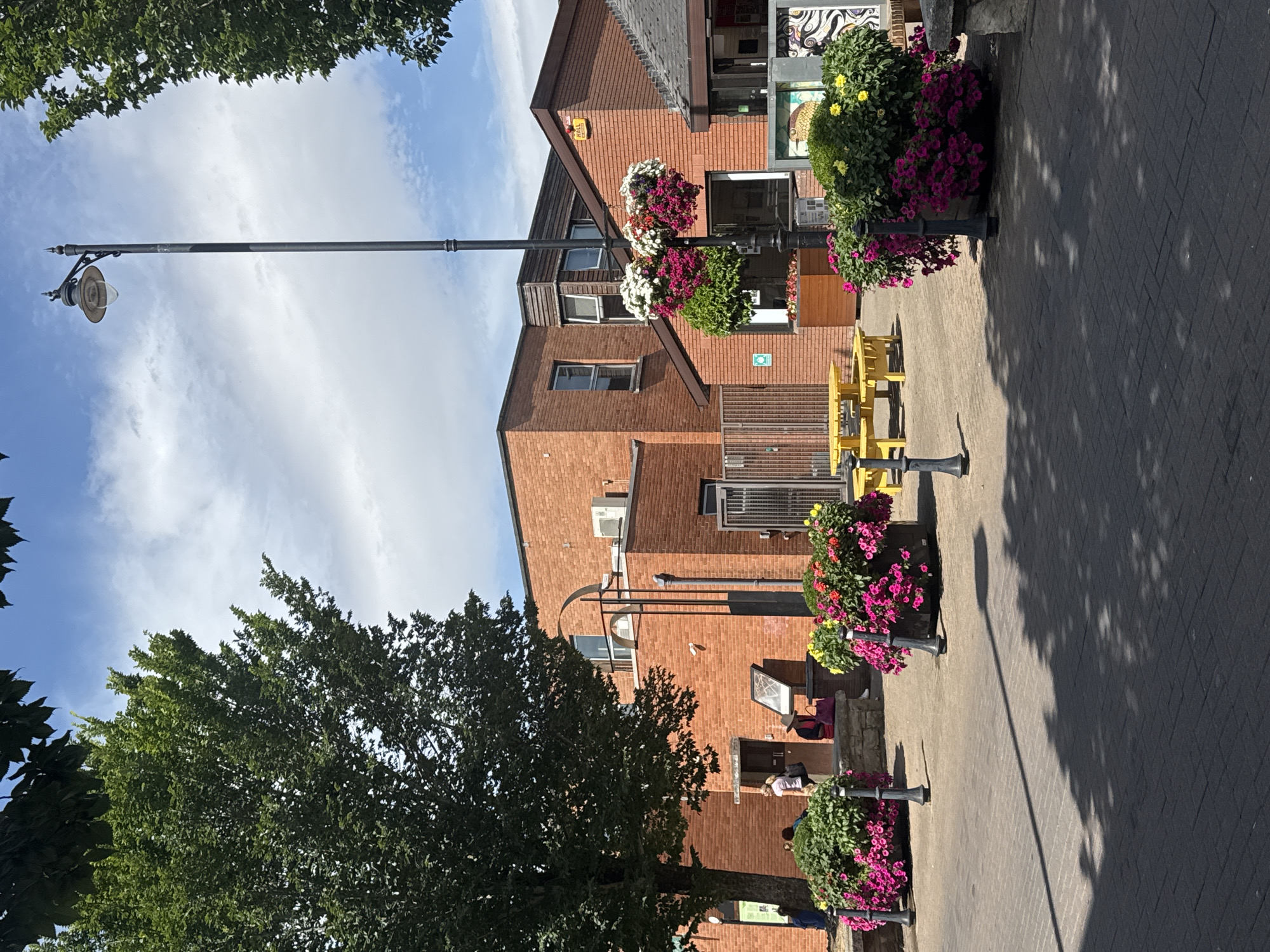 The image captures a sunny day scene in Clonmel, Ireland, likely in an outdoor plaza or walkway area outside a brick building complex. In the foreground, paved ground is visible, partially shaded by dappled sunlight. Two large planters filled with vibrant pink and red flowers are prominently featured, each with a decorative black lamppost standing beside it. Further back, a bright yellow picnic table with benches is set up on the paved surface. The background consists of a multi-sectioned brick building with several windows, some of which appear to be on upper floors. An air conditioning unit is visible on one section of the building. A tall black lamppost with a vintage-style lamp rises from the center of the scene towards the bright blue sky with scattered white clouds. A large green tree with dark foliage stands to the left, its branches extending over the scene. Two people are visible near the building entrance, one standing and the other seated. A sign or display board is positioned near the entrance. The overall atmosphere is one of a pleasant outdoor public space.