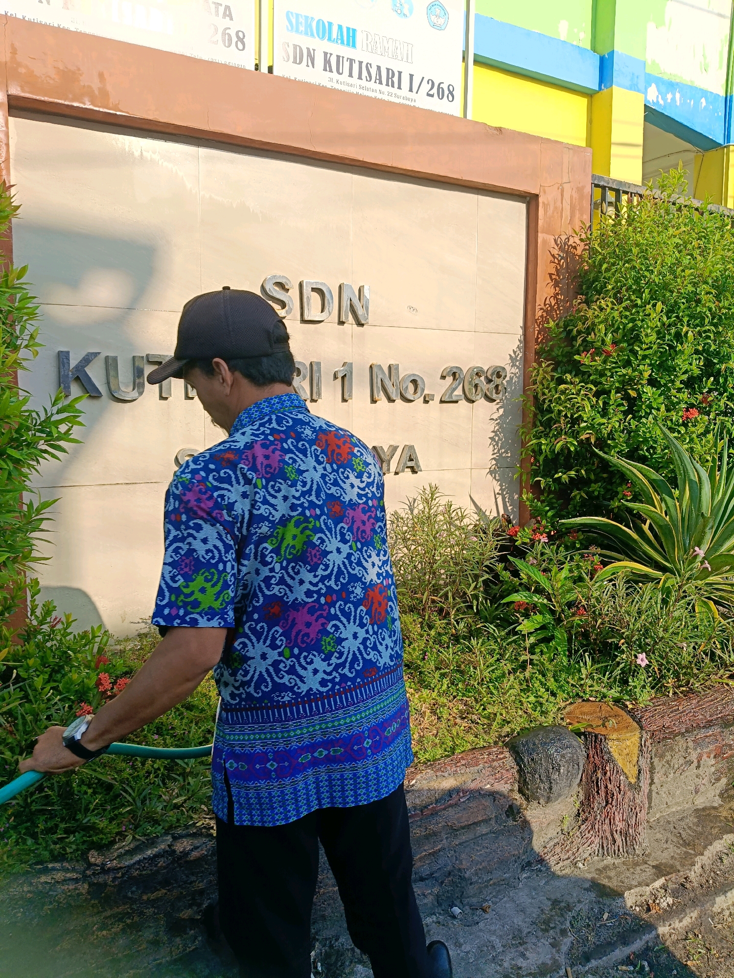 A man wearing a dark baseball cap and a vibrant, patterned blue shirt is watering plants with a green hose. He is positioned in front of a building with a sign that reads "SDN KUTISARI 1/268". The building has a beige tiled facade with metal lettering. The surrounding area features lush green bushes and plants, some with small red flowers. A large agave plant is also visible. The ground is a mix of concrete and dirt. The image appears to have been taken outdoors during the day. The sign and building style are consistent with a school in Surabaya, Indonesia.