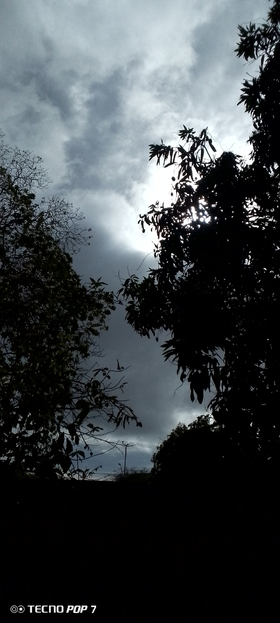 The image displays an overcast sky, heavily covered by dark and light grey clouds. Sunlight pierces through the clouds in brighter patches, particularly on the right side, creating a strong backlighting effect. Silhouetted trees frame the sky, with dense foliage visible on the right, through which bright sunbeams filter, illuminating what appear to be fruits. On the left, another tree shows a combination of dark leaves and intricate bare branches. In the lower center, a utility pole with power lines can be faintly distinguished against the lighter sky, suggesting a semi-urban or rural setting. The foreground and bottom of the image are very dark, almost black, rendering any ground details invisible. No people or specific activities are present. The scene evokes a sense of impending weather or a dramatic skyscape, likely captured during a heavily clouded day, possibly early morning or late afternoon, in Altagracia, Venezuela. A watermark "◎ TECNO POP 7" is visible in the bottom left corner.