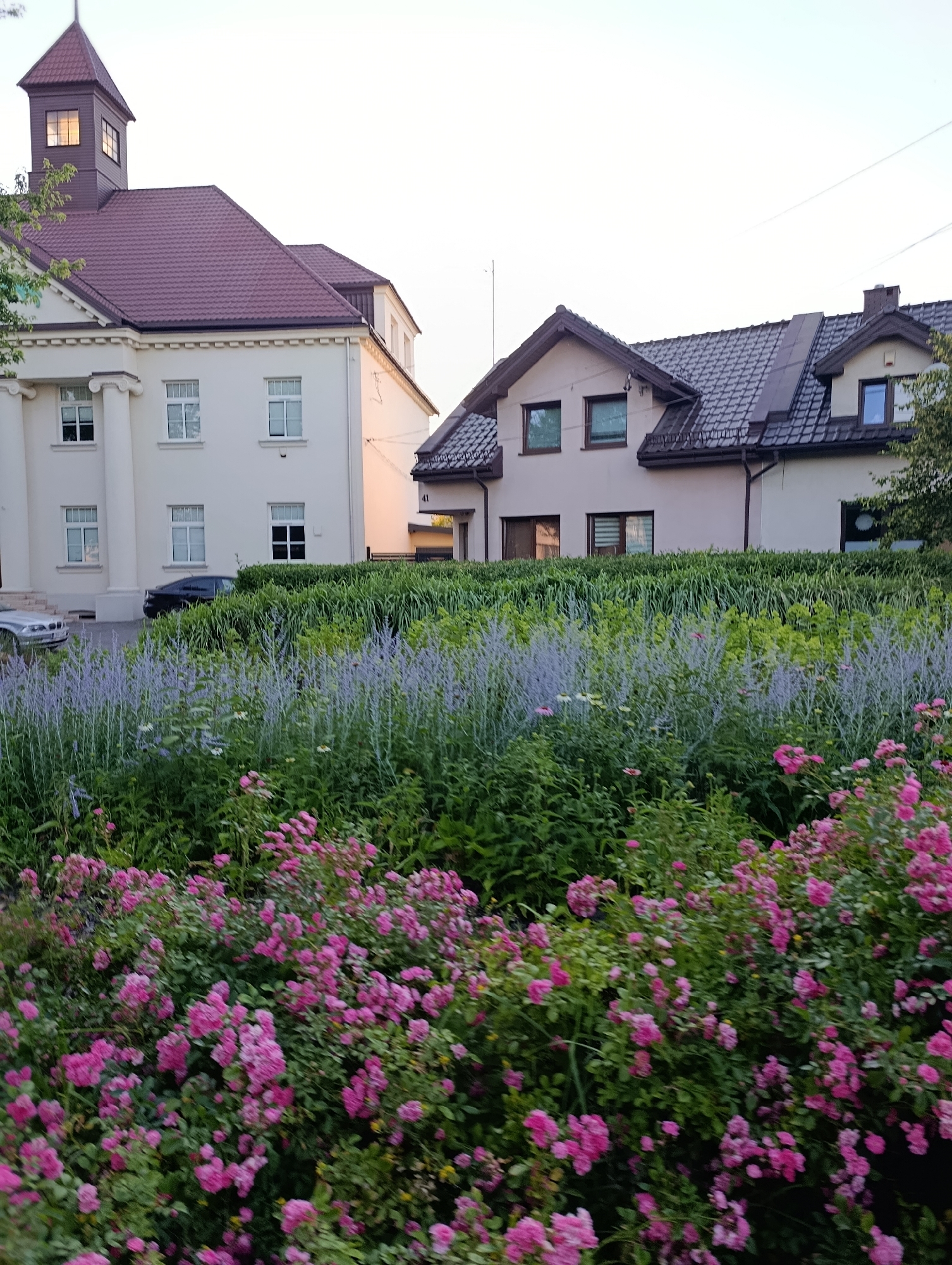 The image shows a street view of two buildings and a garden in the city of Unknown, Unknown. The building on the left is a light-colored, two-story structure with a prominent tower and a burgundy roof. It has several white-framed windows and decorative columns on the facade. The building on the right is a light-colored, multi-story house with a dark tiled roof and multiple windows. A black car is parked in front of the left building, and a silver car is partially visible in the foreground. The garden in front of the buildings is lush and features a variety of plants, including tall green foliage, purple flowering plants, and clusters of bright pink flowers, likely roses, in the foreground. The sky is pale and overcast, suggesting either early morning or late evening.