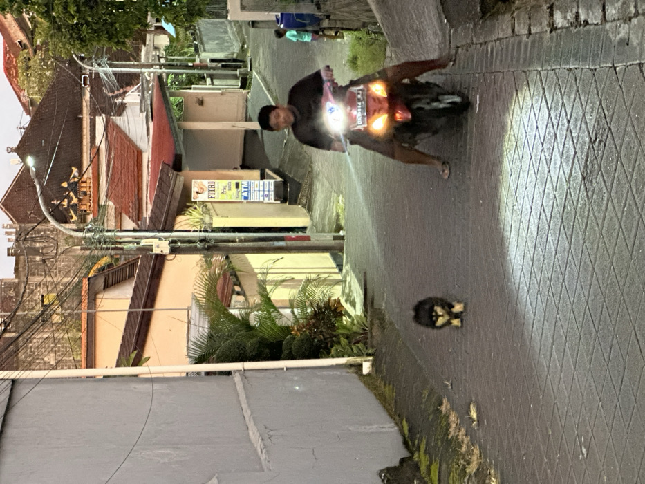 The image depicts a street scene at dusk or early evening in Dalung, Indonesia. A small, black and tan fluffy dog stands on a dark grey brick-paved road in the foreground, facing slightly left towards the camera. Directly behind the dog, a male individual in a dark t-shirt and flip-flops operates a red scooter/motorcycle. The scooter's headlights are fully illuminated, casting a bright beam forward onto the road and the dog. The license plate "DK 6614 AJ" is visible on the scooter. The man's legs are splayed outwards, with his feet resting on the ground.
To the left, the road is bordered by a light grey concrete wall, showing some moss at its base, followed by dense green tropical foliage. To the right, a light-colored building with a prominent brown tiled roof overhang features a vertical sign that reads "FITRI" at the top, followed by a list of services in Indonesian (e.g., "Pulsa," "Paket Data," "Bayar," "Listrik," "PDAM," "Telkom," "BPJS") and an "ATM" symbol. Further up the sloping road on the right, a person, possibly a child in a blue shirt, is partially visible behind a low wall.
The background features multiple buildings with red and brown tiled roofs. A distinct building in the upper right background exhibits traditional Balinese architectural roof elements. Numerous overhead utility lines crisscross the scene. A street lamp on a metal pole provides additional illumination from above. The overall environment suggests a residential or mixed-use area with narrow, sloping roads characteristic of Indonesian cities.