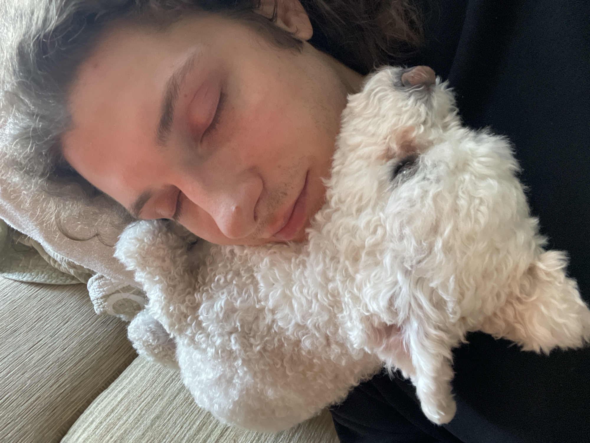 A person with closed eyes rests their head on a white, fluffy dog. The person has shoulder-length, wavy brown hair and is wearing a dark-colored garment. They are lying on what appears to be a light-colored sofa or couch. A light-colored patterned pillow or blanket is also visible beneath their head. The dog is positioned close to the person's face. The scene appears to be indoors. There is no indication of any specific location within Yekaterinburg, Russia or any identifiable details about the environment.