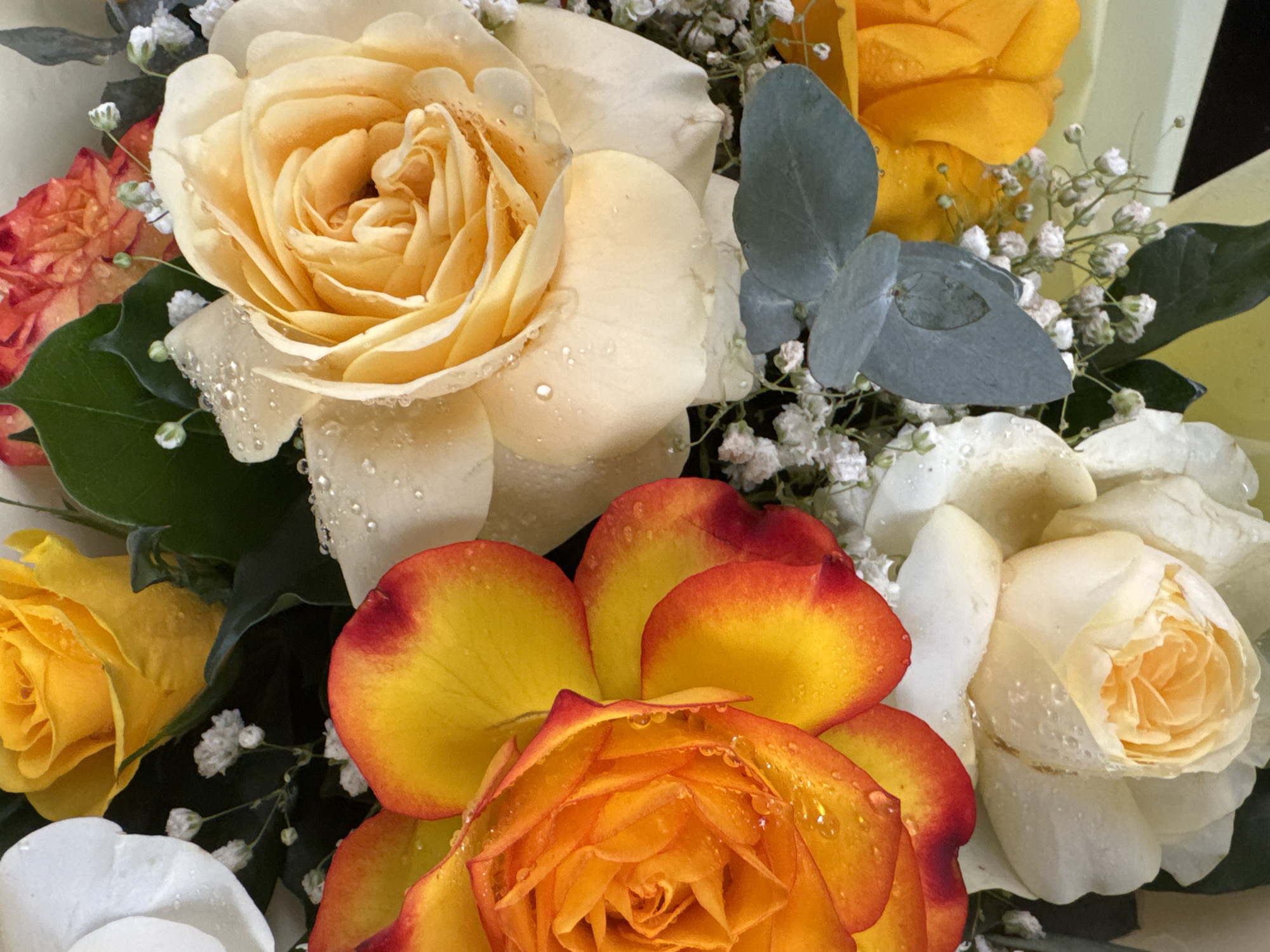 The image displays a close-up of a bouquet of roses. The roses are in various stages of bloom and feature a mix of colors including yellow, orange, white, and hints of red on the edges of some petals. Many of the rose petals are adorned with water droplets, suggesting they have been recently sprayed or caught in the rain. The bouquet also includes smaller white flowers, likely baby's breath, and some greenery. The background is softly blurred, focusing attention entirely on the floral arrangement. There is no indication of a specific location in Nha Trang, Vietnam, or any people present in the image.