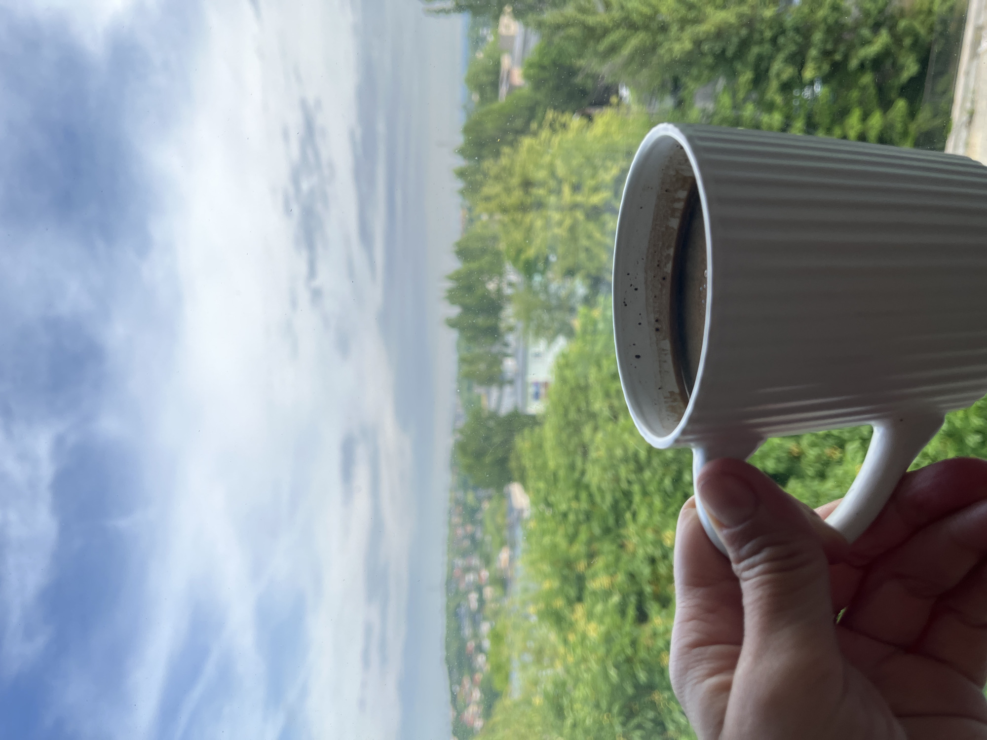 The image shows a right hand holding a white, ribbed ceramic mug, containing a dark beverage, possibly coffee or tea. The mug is positioned in the foreground on the right side of the frame, slightly obscuring the view outside.
The scene beyond the mug and through what appears to be a window reveals a expansive outdoor landscape. The upper portion of the background consists of a bright blue sky with scattered white clouds. Below the sky, a dense canopy of vibrant green trees fills the mid-ground. In the distance, beyond the trees, a blur of buildings suggests a distant town or city, possibly alongside a body of water such as a lake or river.
The overall impression is one of a peaceful daytime scene, where someone is enjoying a drink while looking out over a scenic view. The weather appears clear with some cloud cover. There is no visible text in the image.