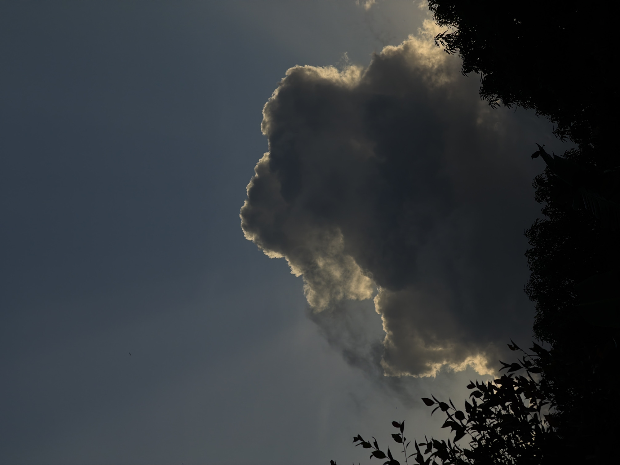 The image shows a cloudy sky in North Kuta, Indonesia. A large, dark cloud dominates the right side of the frame, with sunlight highlighting its edges. Part of tree branches is visible on the lower right of the image. The sky appears gray-blue, and a small bird can be seen flying in the distance on the left.