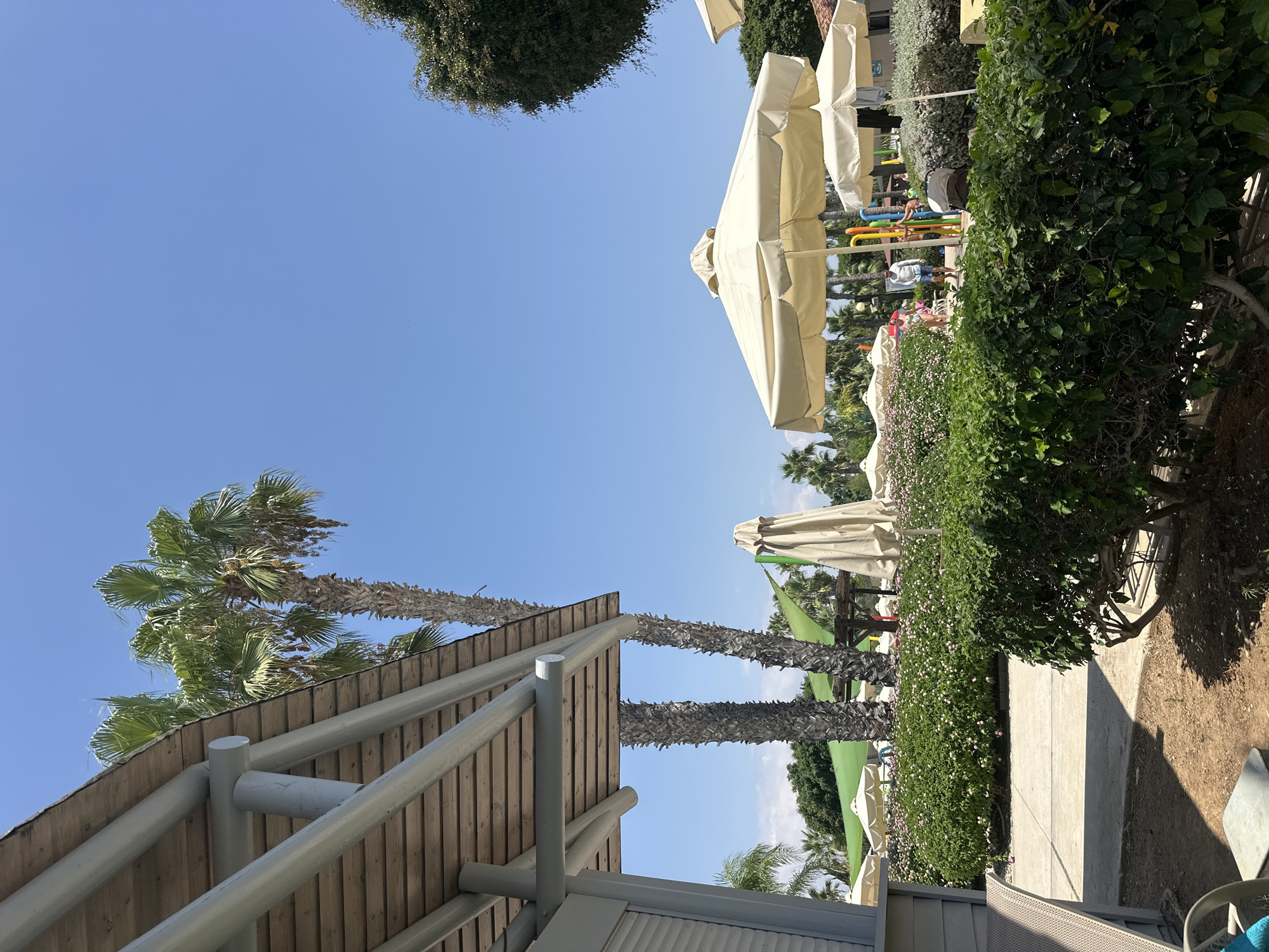 An outdoor scene unfolds beneath a clear blue sky, with a structure that appears to be part of a resort or hotel. The structure has a wooden ceiling supported by grey metal beams. In the foreground, lush green bushes and hedges dominate the landscape, dotted with small pink flowers. Beyond the foliage, several cream-colored umbrellas provide shade, indicating a recreational area. Palm trees, some with dry, textured trunks, punctuate the background, suggesting a warm climate. In the distance, hints of water slides and colorful playground equipment are visible, hinting at a water park or family-friendly resort. A few individuals are present, walking or standing in the background, suggesting a day of leisure. The ground is a mix of paved pathways and sandy or dirt areas.