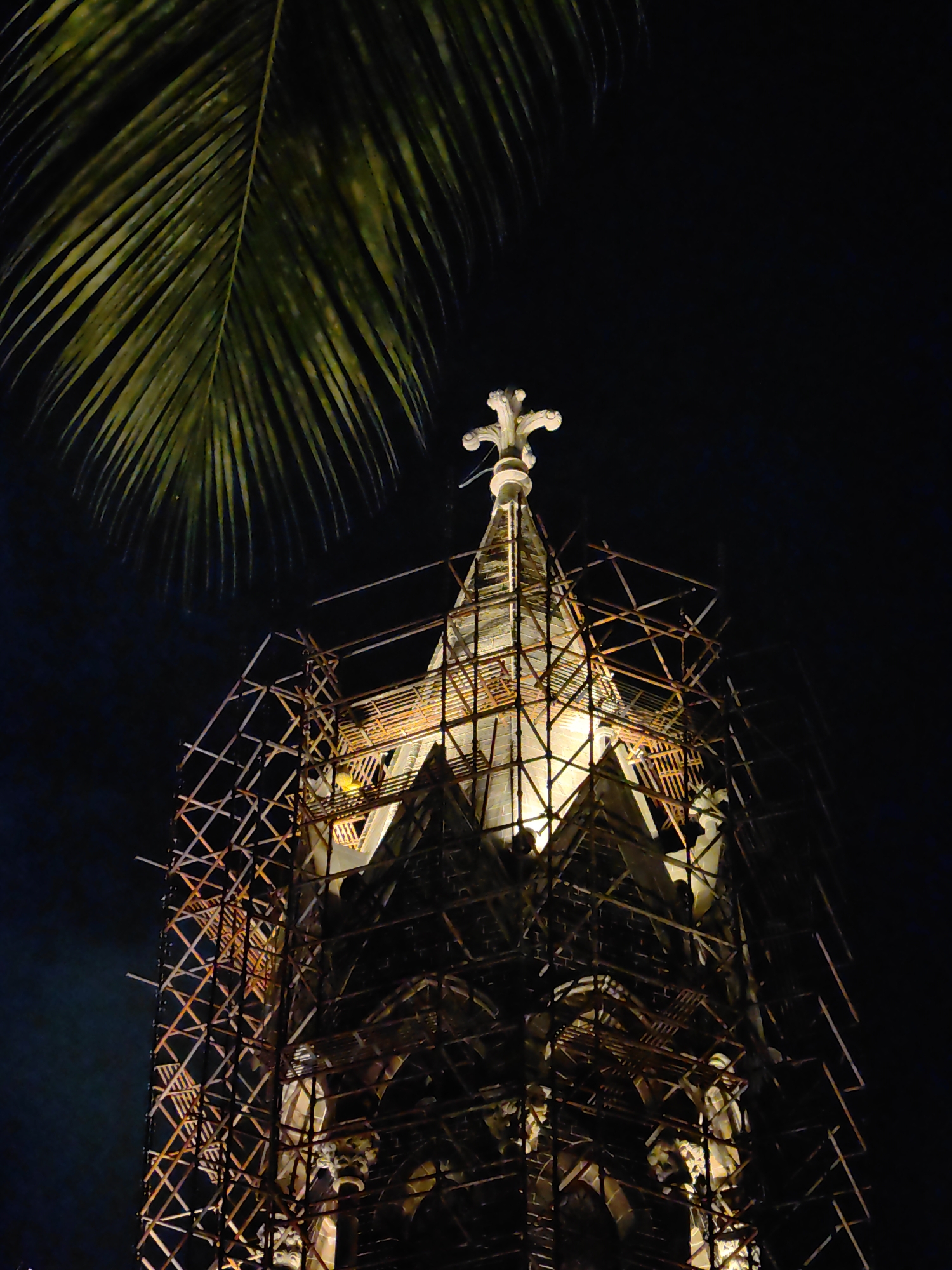 The photograph captures the spire of a Gothic-style church at night, illuminated from within and partially obscured by scaffolding. The spire is topped with a decorative cross. A palm frond is visible in the upper left corner, providing a contrasting natural element against the architectural subject and the dark night sky. The scene appears to be undergoing restoration or construction, as evidenced by the extensive scaffolding surrounding the upper portion of the tower. The lighting creates a dramatic effect, highlighting the intricate details of the stonework and the geometric patterns of the scaffolding. The image is likely taken in a city with tropical vegetation, such as Mumbai, India, where such architectural styles can be found and palm trees are common.