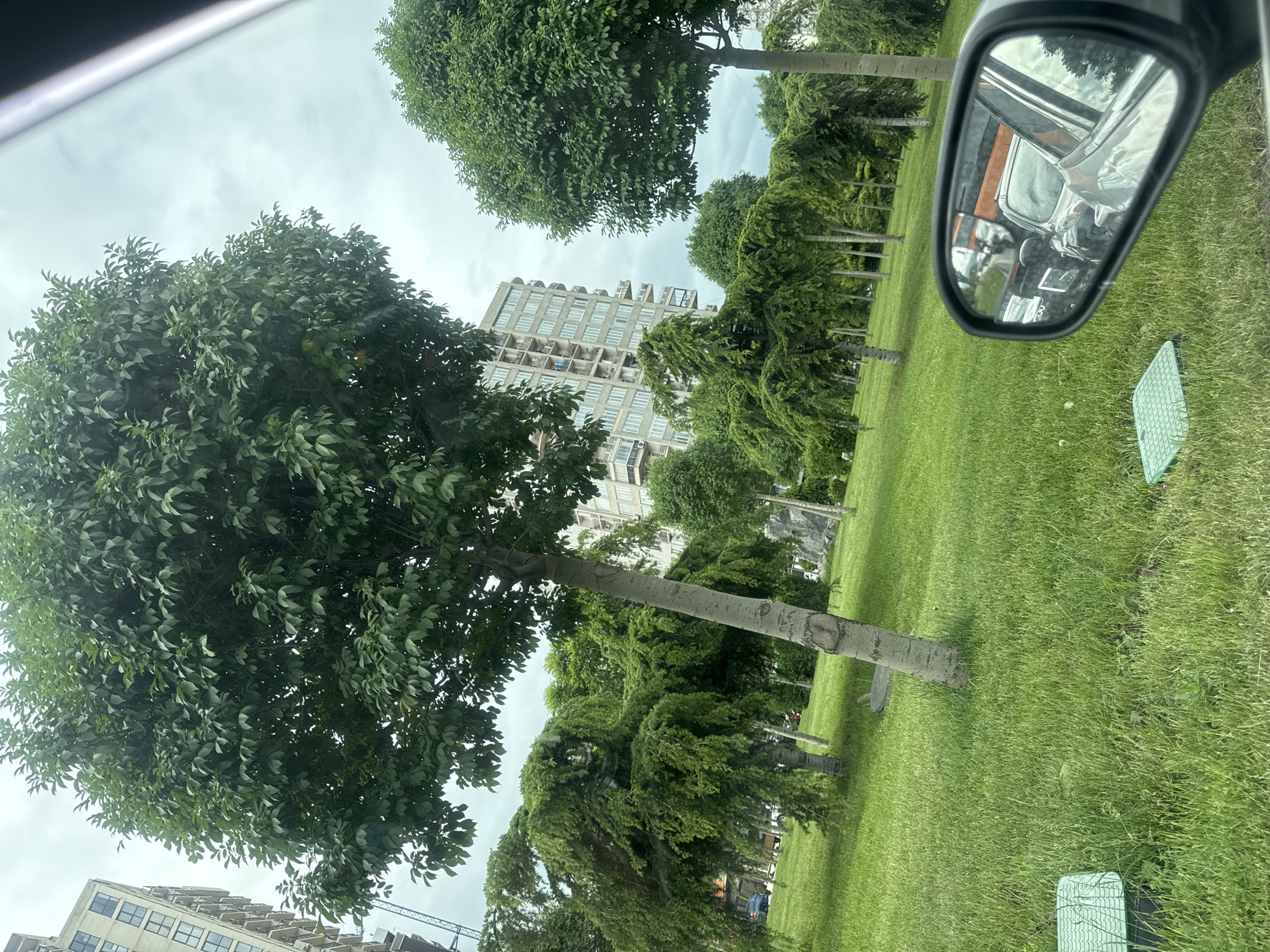 The image, taken from inside a car, shows a view of Tbilisi, Georgia. A tall, modern apartment building is visible between trees with round canopies and weeping branches. A green lawn extends from the trees towards the viewer. In the car's side mirror, the interior of a vehicle, including seats and dashboard, is reflected. A green utility box is on the grass. The sky is overcast.