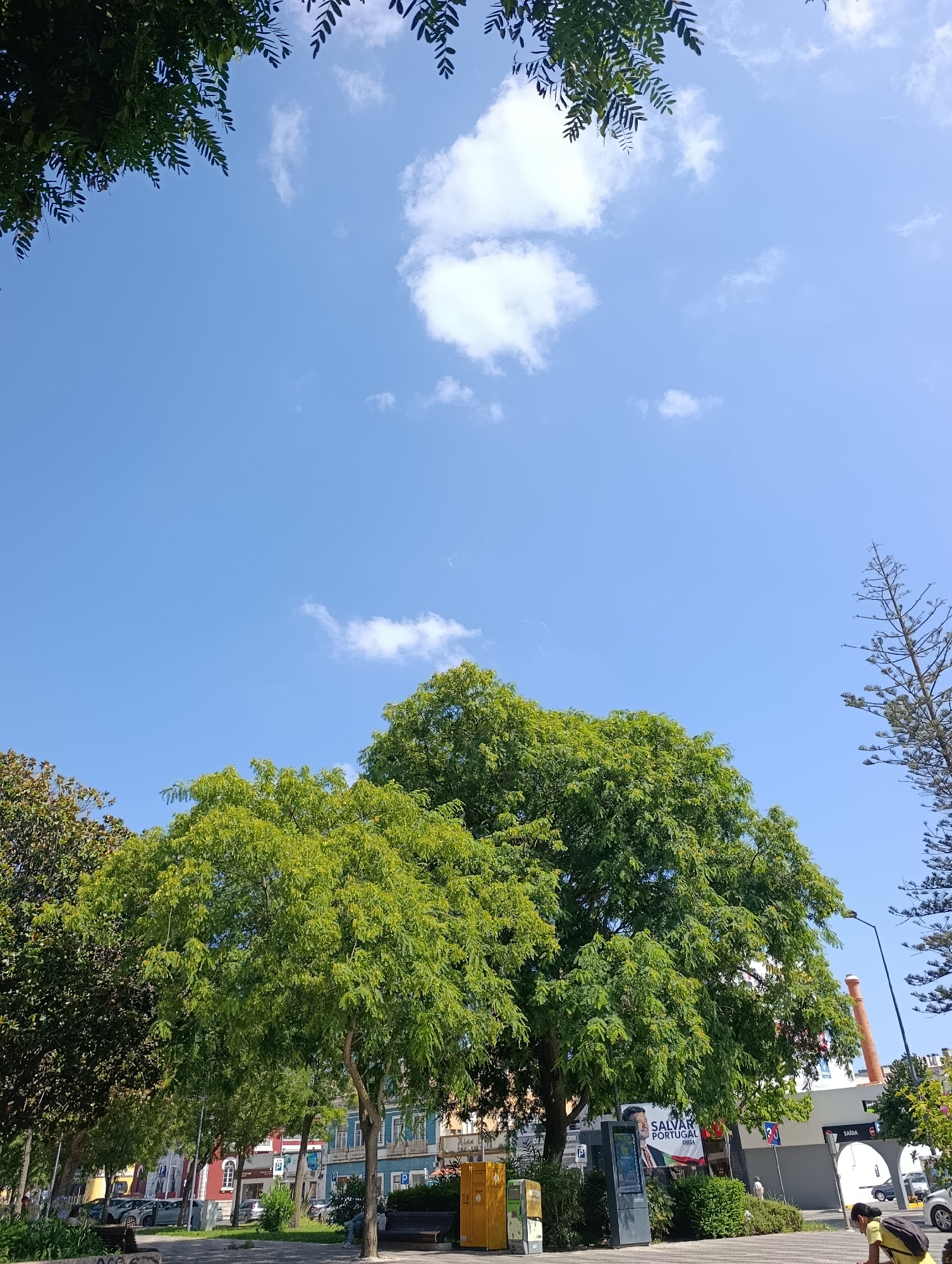 In Setúbal, Portugal, on a sunny day, a wide shot captures an urban park area. Lush green trees with dense foliage dominate the foreground, framing a bright blue sky dotted with fluffy white clouds. To the left, the branches of another tree with dark green leaves are visible against the sky. In the background, colorful buildings with intricate architectural details line a street, suggesting a residential or commercial area. Cars are parked along the street, and a few people can be seen sitting on benches, enjoying the outdoors. A tall, slender pine tree stands on the right side of the frame, adding to the diverse greenery. The overall scene is one of a vibrant city park, offering a peaceful respite amidst the urban landscape.