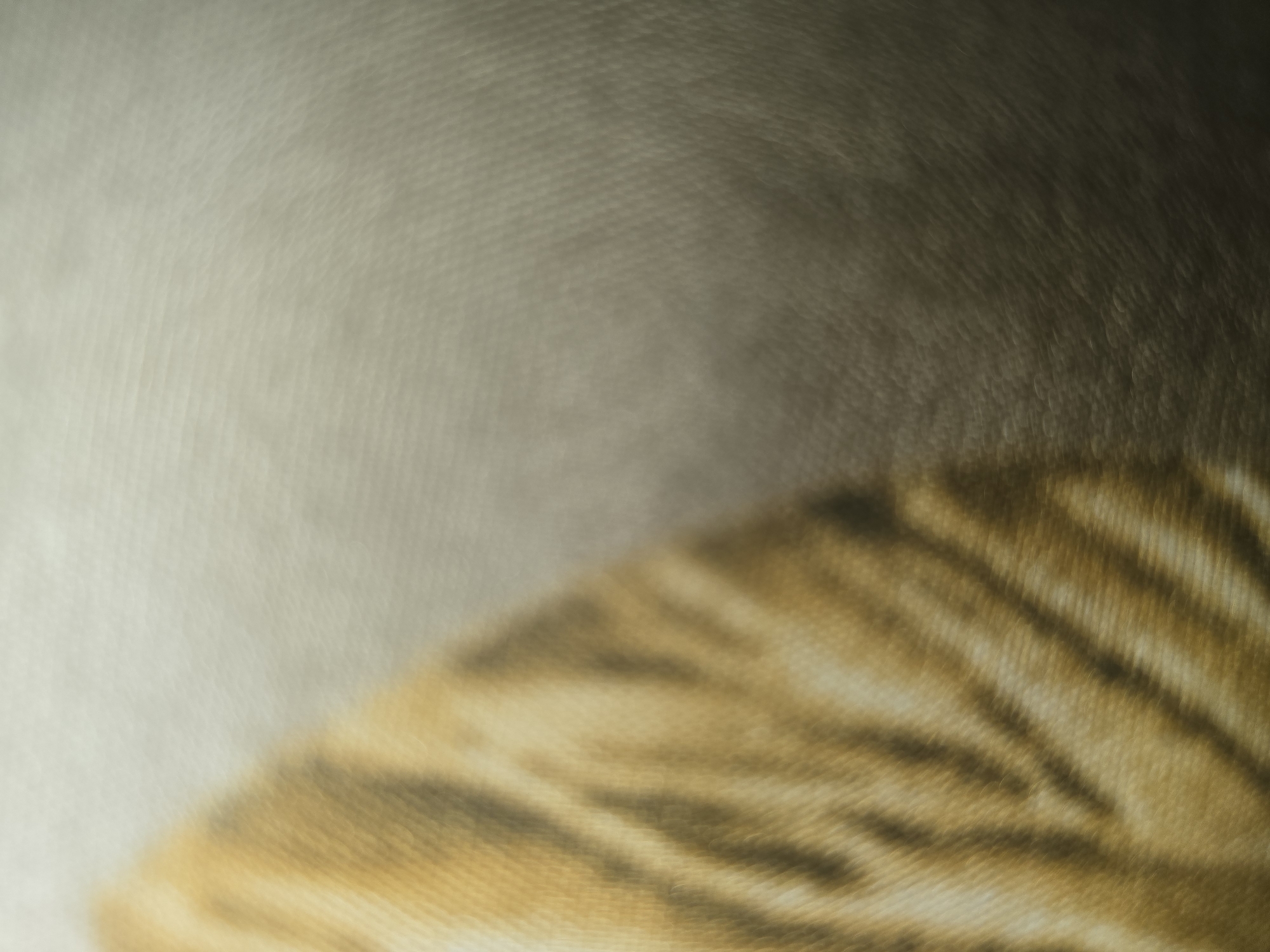 The image is a close-up, out-of-focus photograph of what appears to be the fur of an animal, likely a cat, with distinct orange and darker striped patterns. The fur is soft and textured, with a warm color palette. The background is a muted, light gray that blends into a darker, shadowy area on the right side of the image. The lighting is soft, creating a gentle gradient and highlighting the texture of the fur.
There is no indication of location in the city of Ulan-Ude, Russia, as the image focuses on a small, abstract detail of an animal's coat. The image contains no people, objects, or actions that would provide any contextual information about its setting or origin.
