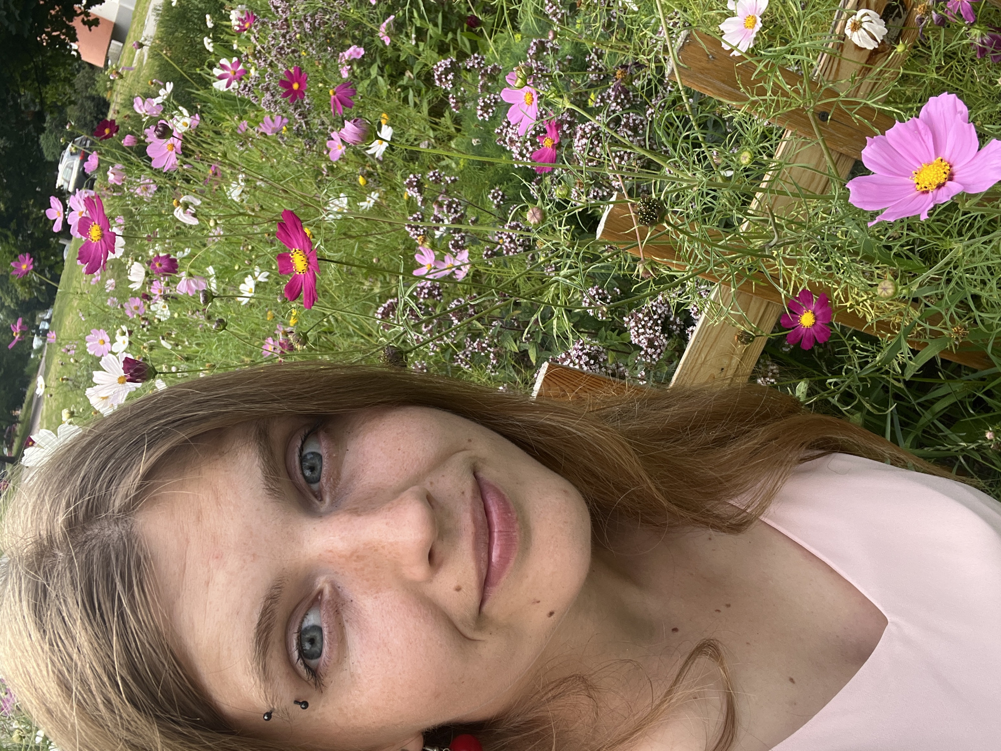 The image shows a close-up, waist-up shot of a young woman with blonde hair and blue eyes. She is wearing a light pink dress and has a red earring on her left ear. She has a pierced eyebrow with two black barbells. The woman is positioned in front of a garden filled with a variety of pink, white, and magenta cosmos flowers. The flowers are in bloom and are a prominent feature of the background. Some green foliage and a wooden fence are also visible. The scene appears to be outdoors, with soft, natural lighting. The image was taken in Minsk, Belarus.