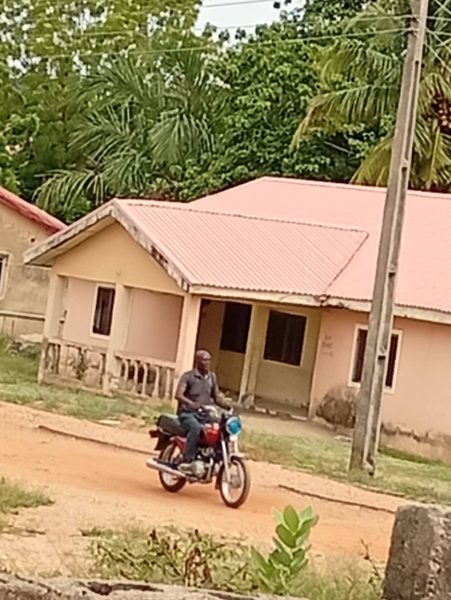 The image depicts a daytime scene in a residential area, likely in Adankolo, Nigeria, given the contextual information.
The central subject is a man riding a red motorcycle on a reddish-brown dirt road. He is wearing a dark short-sleeved top and dark trousers, and is positioned facing towards the left side of the frame as he operates the vehicle. The motorcycle has chrome accents and a prominent blue headlight.
In the background, several single-story houses are visible. The most prominent house directly behind the motorcyclist has a light-colored, possibly beige or pale yellow, exterior with a gabled, reddish corrugated iron roof. It features a small porch with a low railing and dark-framed windows. Another similar house is partially visible to the far left. The architecture is simple and functional.
Above the houses, the upper portion of the image is filled with lush green vegetation, including various leafy trees and prominent palm trees, indicating a verdant, perhaps tropical, environment. A tall, grey utility pole stands vertically on the right side of the frame, extending beyond the top edge, with power lines faintly visible.
The road surface is unpaved, consisting of reddish-brown earth, with scattered patches of green grass and small plants growing along its edges and in the foreground. The lighting suggests it is daytime, with a soft, diffused quality, possibly indicating an overcast sky or late morning/early afternoon. There is no visible text or branding clearly discernible in the image.