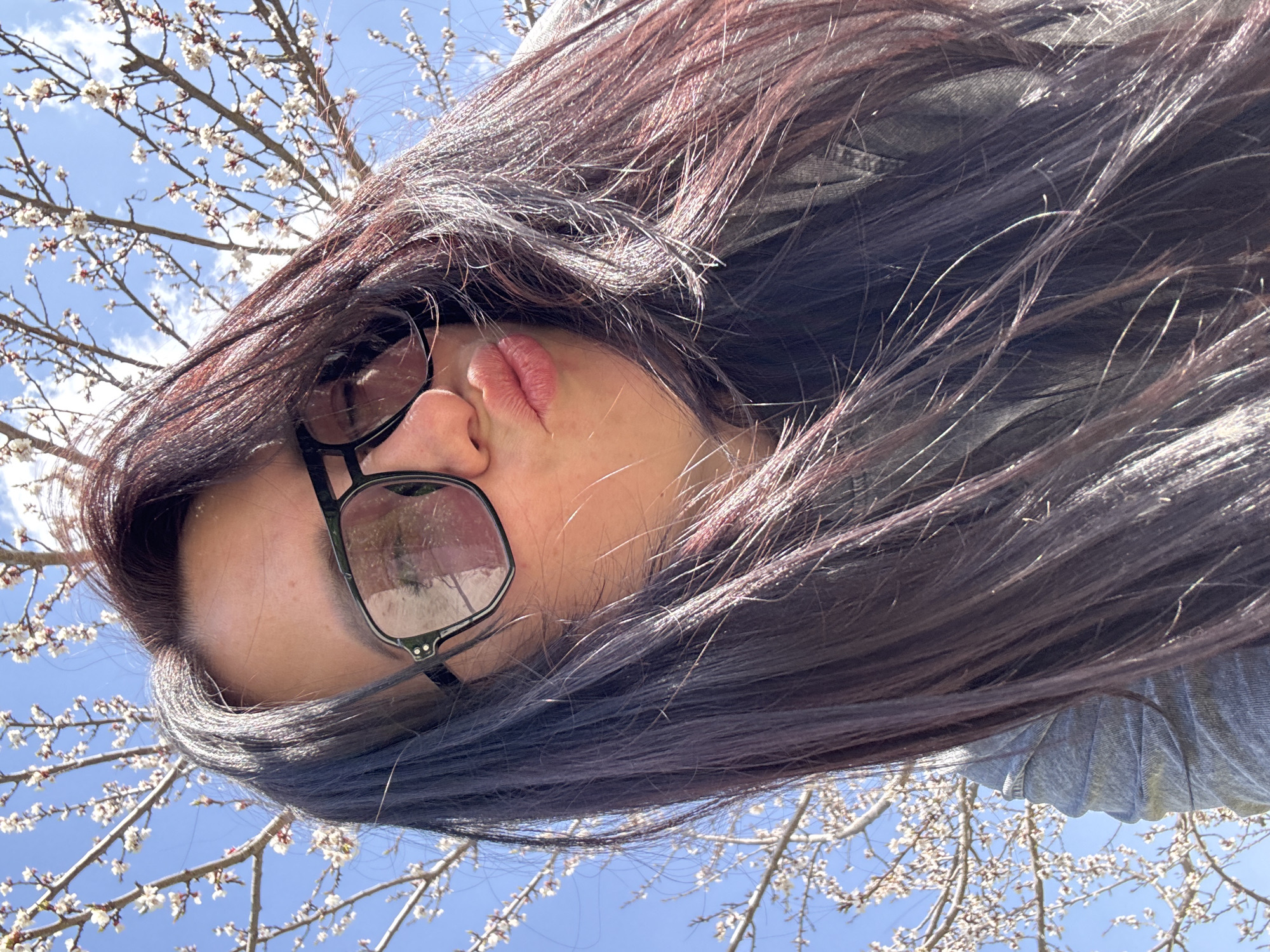 A low-angle selfie of a person with long, dark hair and wearing glasses against a backdrop of a blooming tree and blue sky. The location is likely outdoors in an Unknown city of Unknown, based on the natural setting.