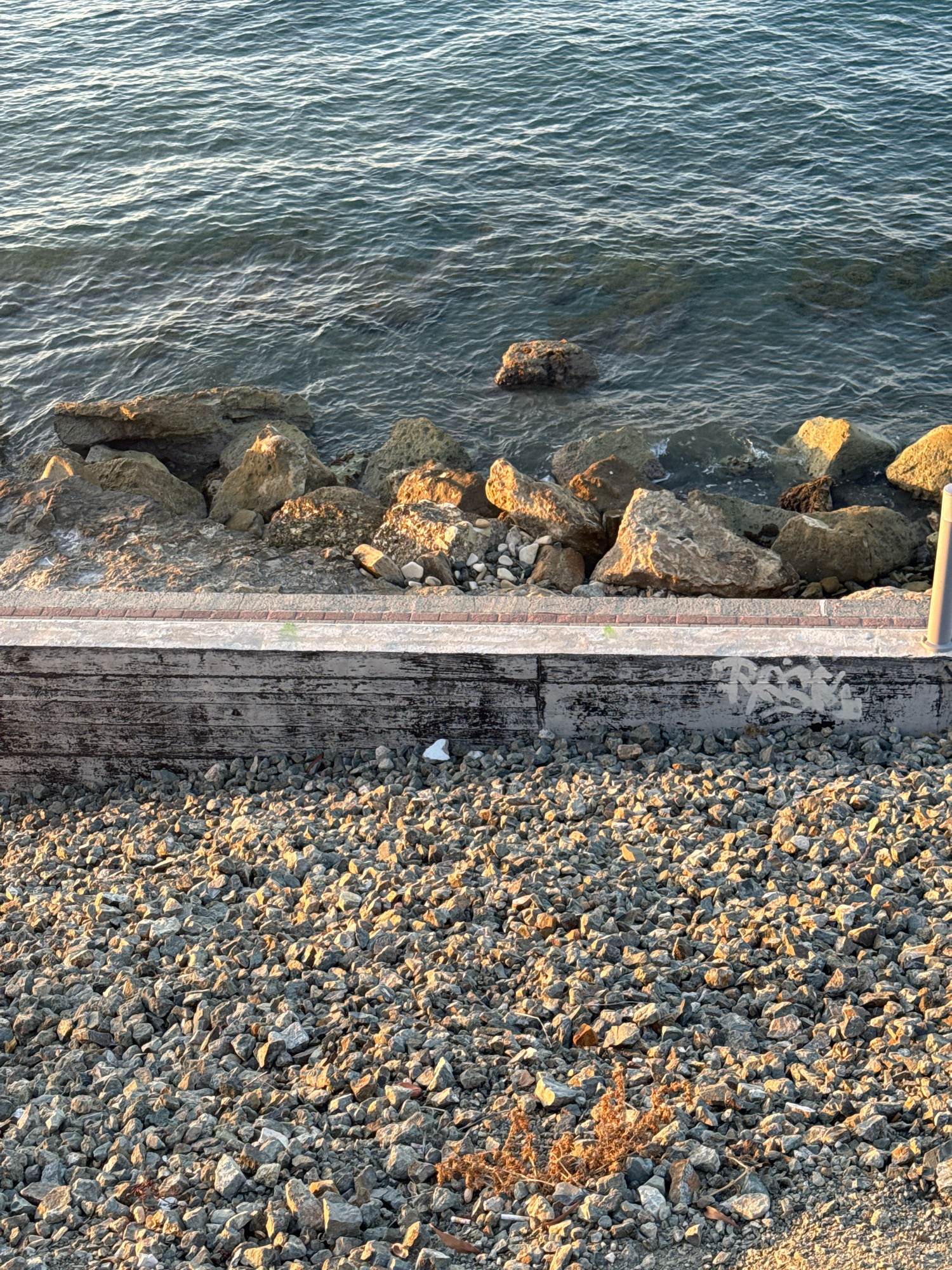 The image depicts a section of a rocky shoreline and a paved walkway in Agios Tychona Community, Cyprus. The upper portion of the image shows the calm, rippling surface of the sea, with a line of large, weathered rocks extending into the water. These rocks vary in size and texture, with some appearing smooth and others rough.
Below the rocks is a man-made walkway constructed of concrete and bordered by a thin strip of reddish brickwork. The concrete surface is weathered, showing signs of age and exposure to the elements, and features some light graffiti. A small piece of white litter is visible on the walkway.
The lower part of the image is a ground-level view of a dense accumulation of gravel and small stones, extending from the base of the walkway into the foreground. This gravel area is uneven and sparsely populated with dry, brittle vegetation, possibly weeds or dried grasses. The lighting suggests it is late afternoon or early morning, with shadows cast across the gravel and highlights on the rocks and water. The overall scene is natural and undisturbed, with no people or animals present.