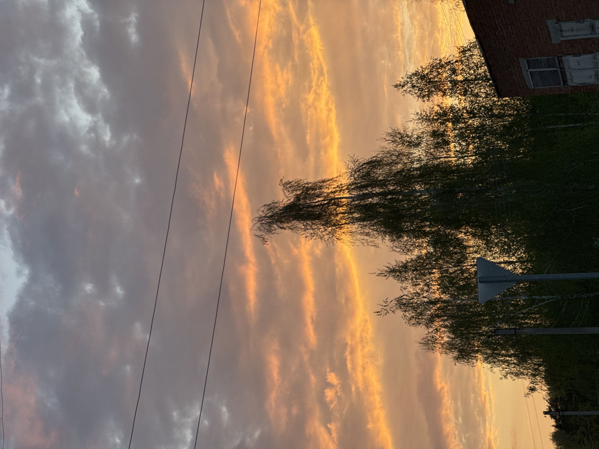 The image depicts a sunset scene in Noviy, Russia. The sky is filled with clouds, exhibiting a gradient from grey to orange hues. Power lines are visible against the sky. The foreground features trees with dense foliage. A building with visible windows is partially seen. A road sign is also present.