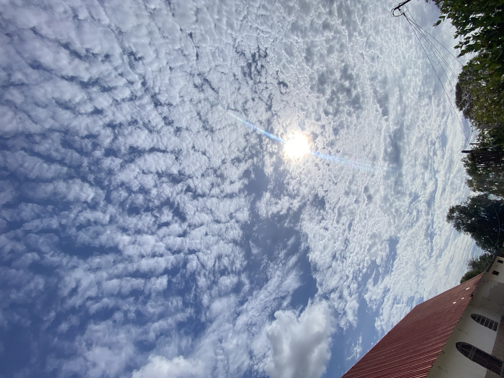 The image shows a view looking up at a sky filled with altocumulus clouds, with the sun shining through them. The location is Juan Griego, Venezuela, indicated by the building with a red corrugated metal roof visible in the lower right corner, consistent with the region's architecture. The tree is also an element of the environment.