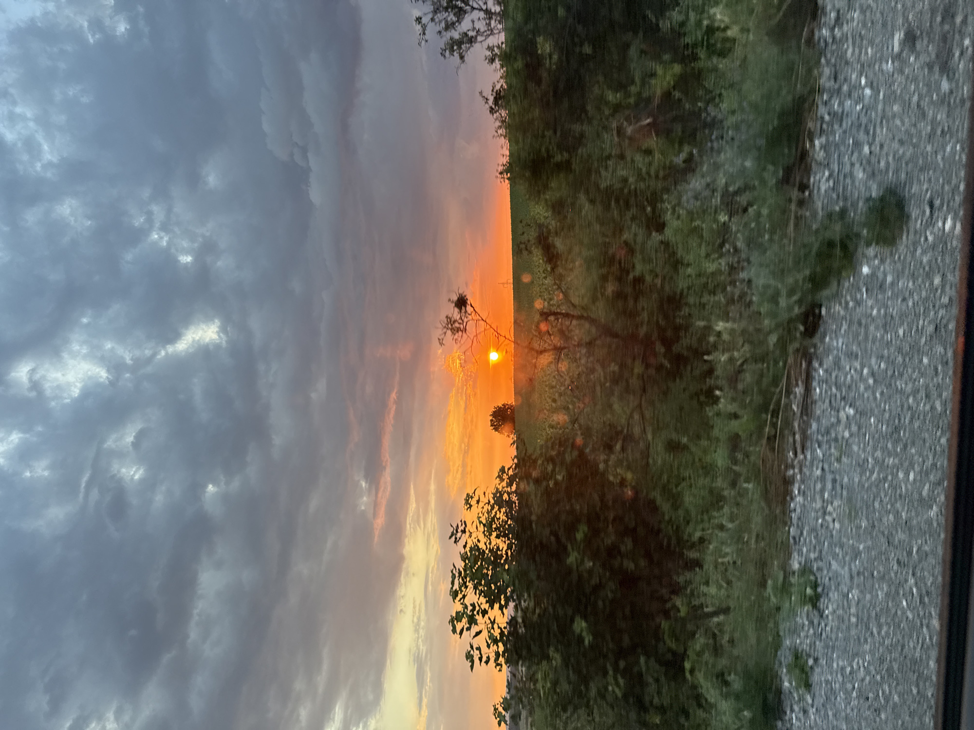 This media file depicts a sunset over a rural landscape in Vasil Levski, Bulgaria. The image is oriented vertically, with the sun low on the horizon, casting a vibrant orange glow across the sky. Clouds are scattered throughout the sky, with some appearing darker and more dramatic, suggesting a potentially changeable weather pattern.
In the foreground, there is a dense area of green foliage, likely trees and bushes, which partially obscures the view of the sunset. A bare tree branch with what appears to be a bird's nest is visible in the mid-ground, silhouetted against the bright sky. To the right of the foliage, a gravelly surface, possibly a road or a path, is visible. The overall impression is one of a serene and natural setting at the end of the day. The time of day is clearly sunset due to the low angle of the sun and the warm, diffused light. The weather appears to be partly cloudy. There is no visible text in the image.