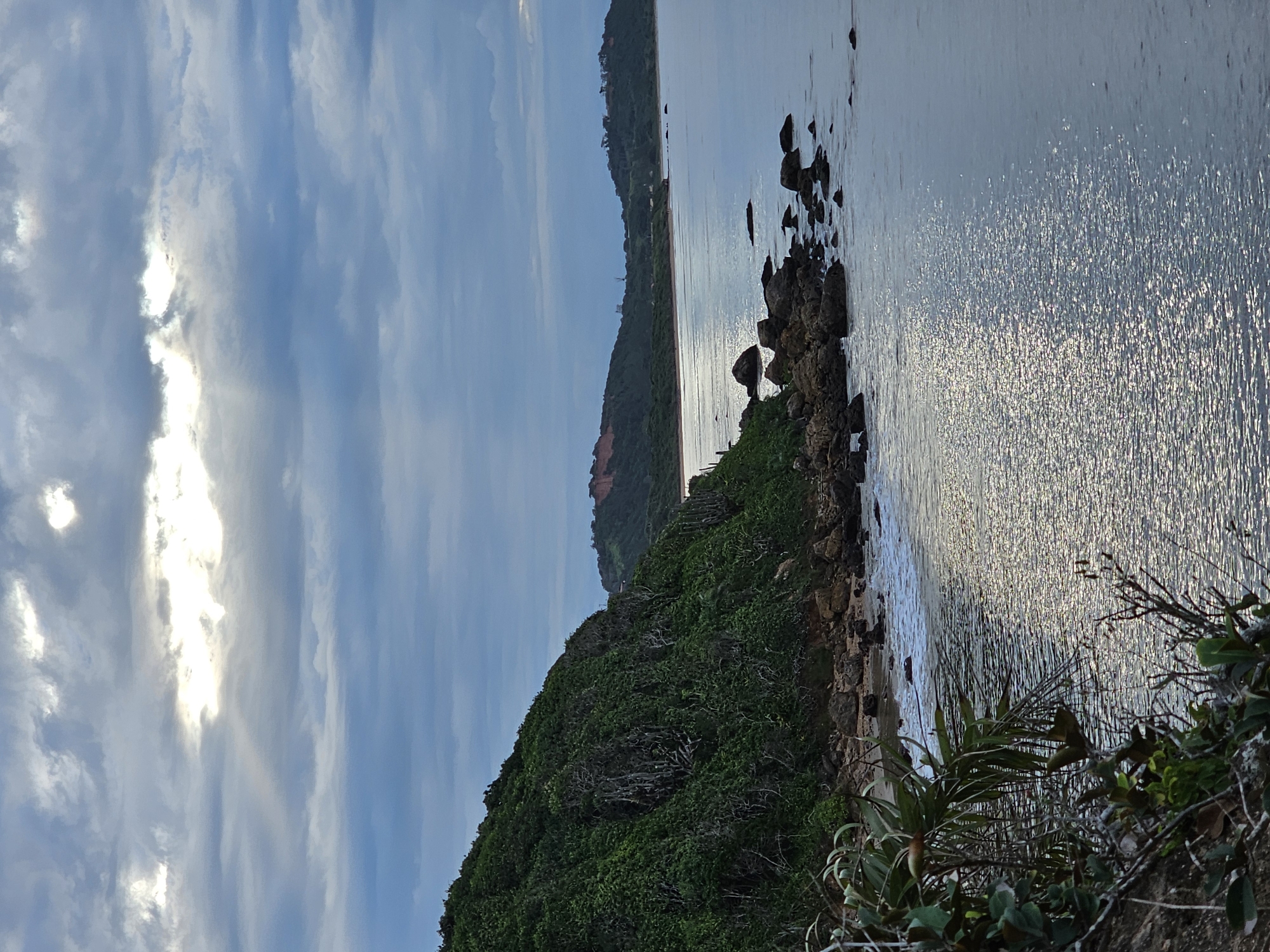 The image captures a coastal scene at Armação dos Búzios, Brazil, on what appears to be a late afternoon or early morning. The sky is partly cloudy with sunlight breaking through, creating a diffused light. The ocean, occupying the right side of the image, has a shimmering surface reflecting the sunlight. Along the shoreline, there's a rocky outcrop covered with dense green vegetation, including shrubs and trees. Beyond the immediate shoreline, a distant landmass stretches across the horizon, also covered in vegetation. The vegetation is lush, likely due to the coastal climate. The rocks along the shoreline appear dark. No people or animals are visible. The overall impression is one of natural beauty and tranquility.