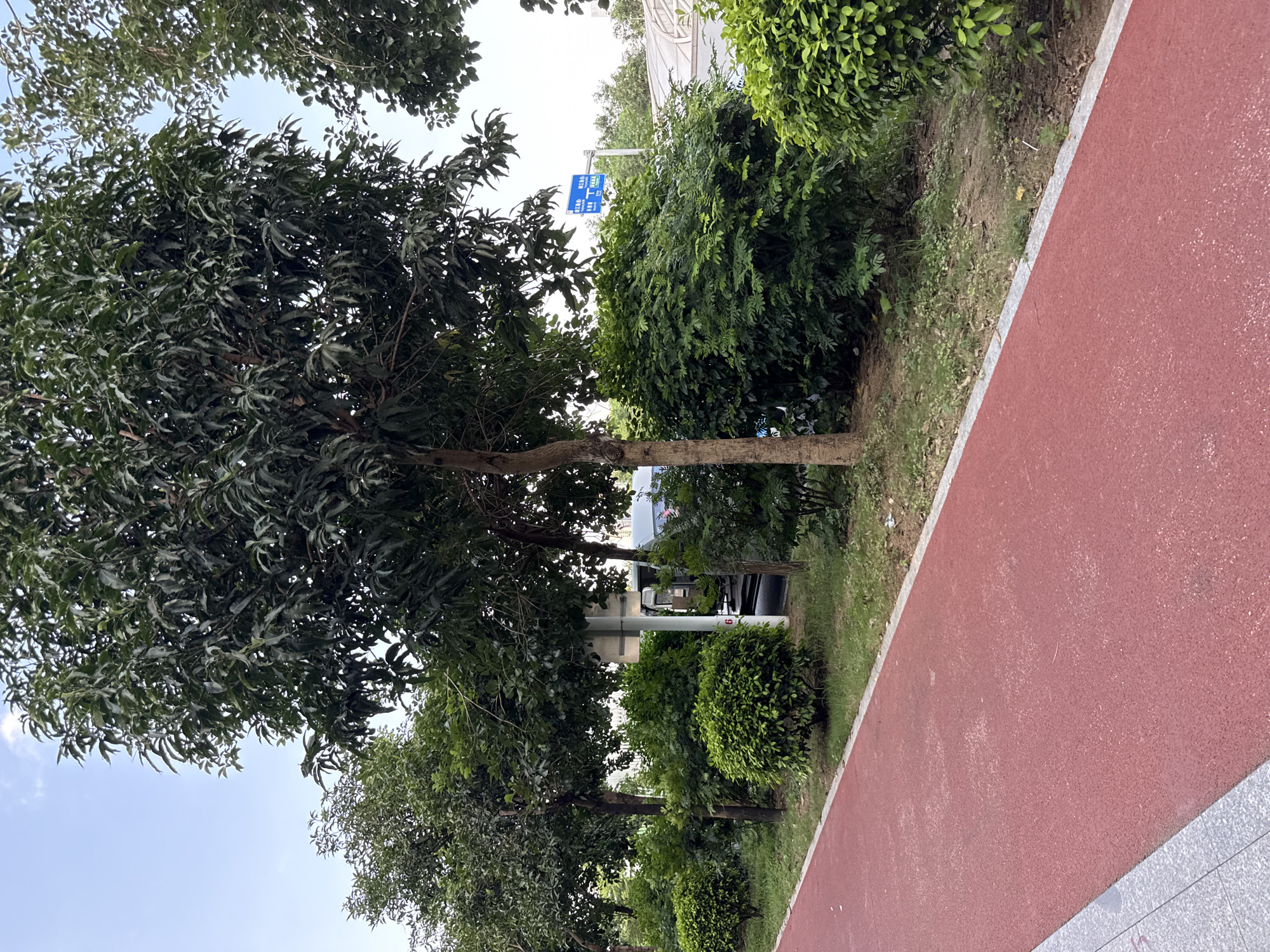 The image depicts a red asphalt path or track, likely a pedestrian walkway or bicycle lane, running diagonally from the bottom left to the mid-right of the frame. The path is bordered by a strip of grass and then a line of lush green bushes and trees. In the background, beyond the foliage, there are glimpses of a white structure, possibly a building or shelter, and a blue traffic sign with Chinese characters is visible, indicating this location is likely in Haizhu District, China. A light-colored pole, possibly a lamppost or signpost, stands near the center of the image, with a small red number "6" visible on its base. The sky above is a pale blue with some light cloud cover. No people are visible in the scene. The overall impression is of an urban park or recreational area.