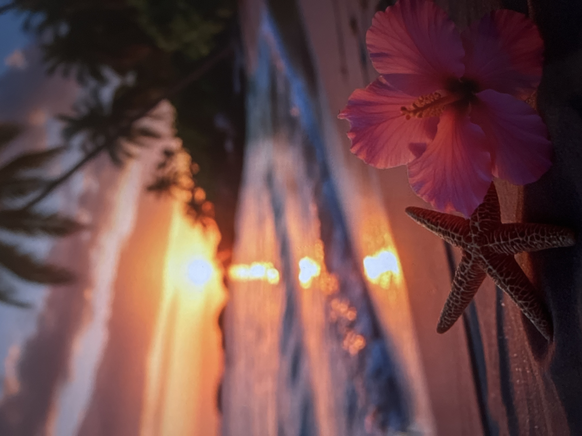 An extreme close-up shot on a sandy beach focuses on a pink hibiscus flower and a starfish in the foreground, with the ocean and a sunset in the background. The hibiscus flower is in full bloom, with its petals spread wide. The starfish is positioned to the left of the flower, its arms splayed out. The ocean waves are gently rolling onto the shore, reflecting the warm hues of the sunset. Palm trees silhouette the horizon, adding to the tropical ambiance. The sky is painted with vibrant shades of orange, pink, and purple, creating a breathtaking backdrop for the scene.