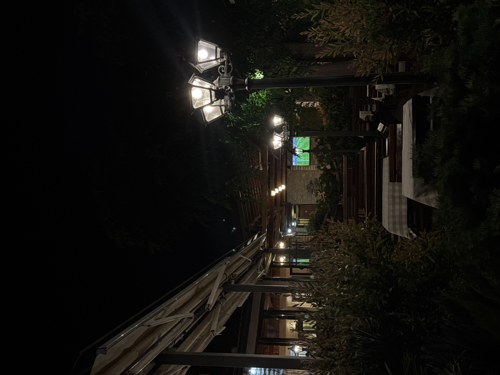 The image depicts an outdoor seating area of a restaurant or cafe at night, likely in Budva, Montenegro. The scene is illuminated by several street lamps and ambient light from the establishment. In the foreground, lush green foliage and bushes are visible, partially obscuring tables covered with checkered tablecloths. Several wooden benches and tables are arranged in rows, some with plaid tablecloths.
A prominent, multi-headed street lamp stands to the right of the frame, casting a warm glow. In the mid-ground, a similar, but smaller, street lamp illuminates another section of the seating area. Beyond the tables and lamps, a building with a covered patio is visible, with glass windows and doors revealing interior lights. A television screen displaying a green field, likely a sports broadcast, can be seen through one of the windows. The background is dominated by dark trees and the night sky, with some string lights visible further in the distance, suggesting a relaxed evening atmosphere. The overall impression is of a quiet, well-lit outdoor dining space after dark.