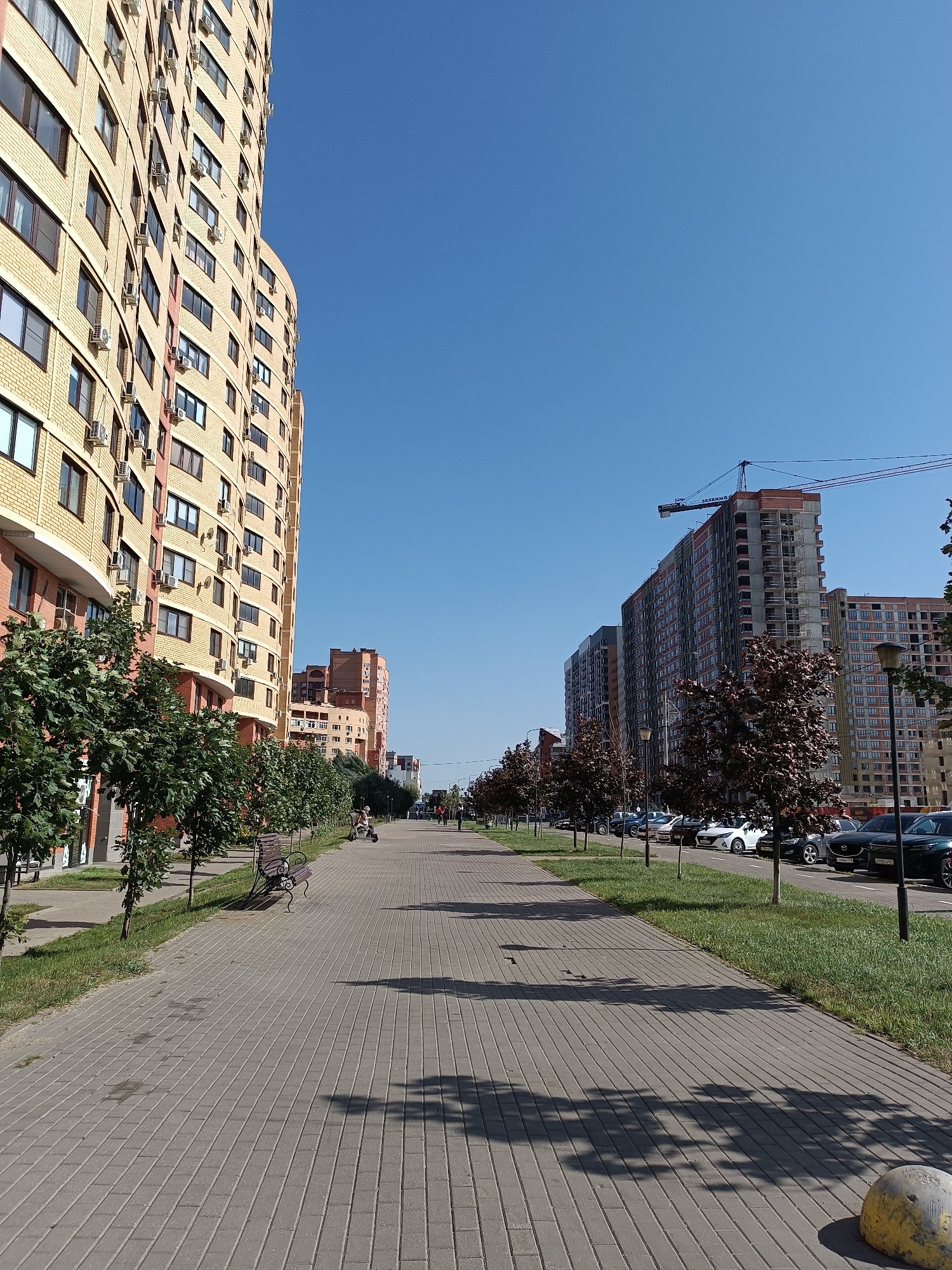 The image shows a street scene in the city of Zhukovsky, Russia. On the left, a tall, curved apartment building with yellow brick facades and numerous windows and air conditioning units dominates the foreground. A row of young trees with green foliage lines the sidewalk in front of the building. The sidewalk is paved with gray interlocking bricks and shows distinct shadows from the trees. Further down the sidewalk, benches are visible.
On the right side of the street, a construction site with a large crane is evident, with unfinished apartment buildings in various stages of construction. Cars are parked along the street. More trees, some with dark red foliage, line the sidewalk on this side. The sky is clear and blue. In the distance, other buildings and trees can be seen, and a few people are walking on the sidewalk. The overall impression is of a modern urban environment with ongoing development.