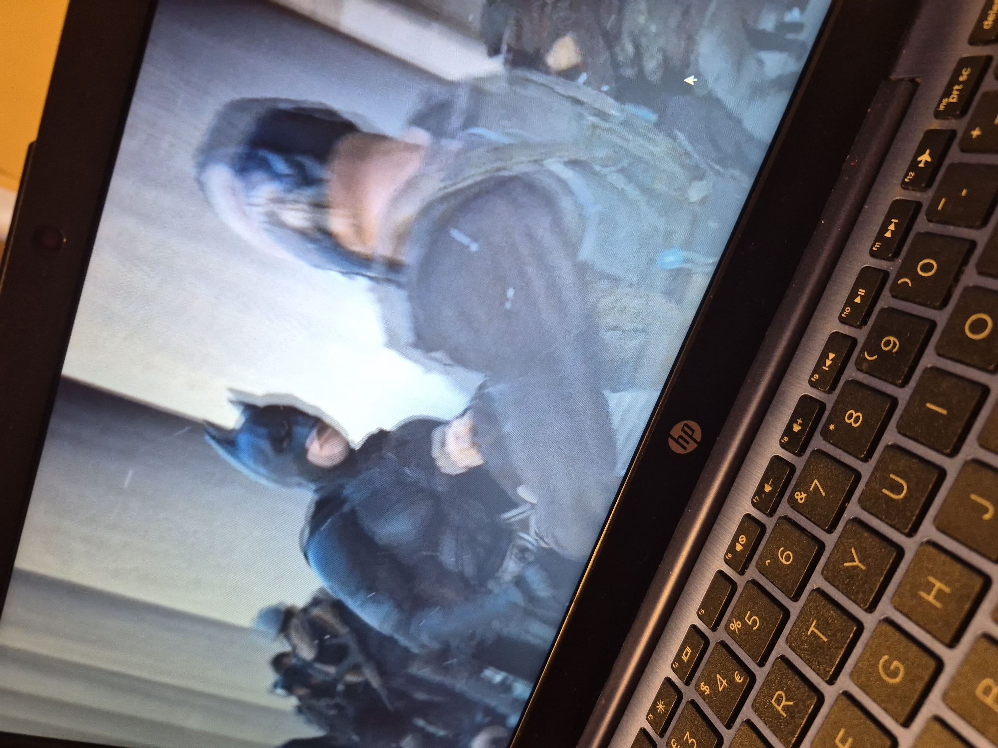 A laptop displays a scene from "The Dark Knight Rises" featuring Batman confronting Bane. Batman, in his full suit, is on the left, and Bane, wearing his distinctive mask and tactical gear, is on the right. They appear to be in the midst of a physical altercation. The laptop's keyboard is visible in the foreground, with keys like 'R', 'T', 'Y', 'G', 'H', 'J', 'U', 'I' clearly legible, along with function keys and symbols. The background on the laptop screen depicts a stark, grey, industrial-looking environment with vertical elements that could be pillars or walls. The image is taken from a slightly elevated angle, capturing both the laptop screen and the keyboard. There is no information in the image to suggest a specific location in Sandwell, United Kingdom.