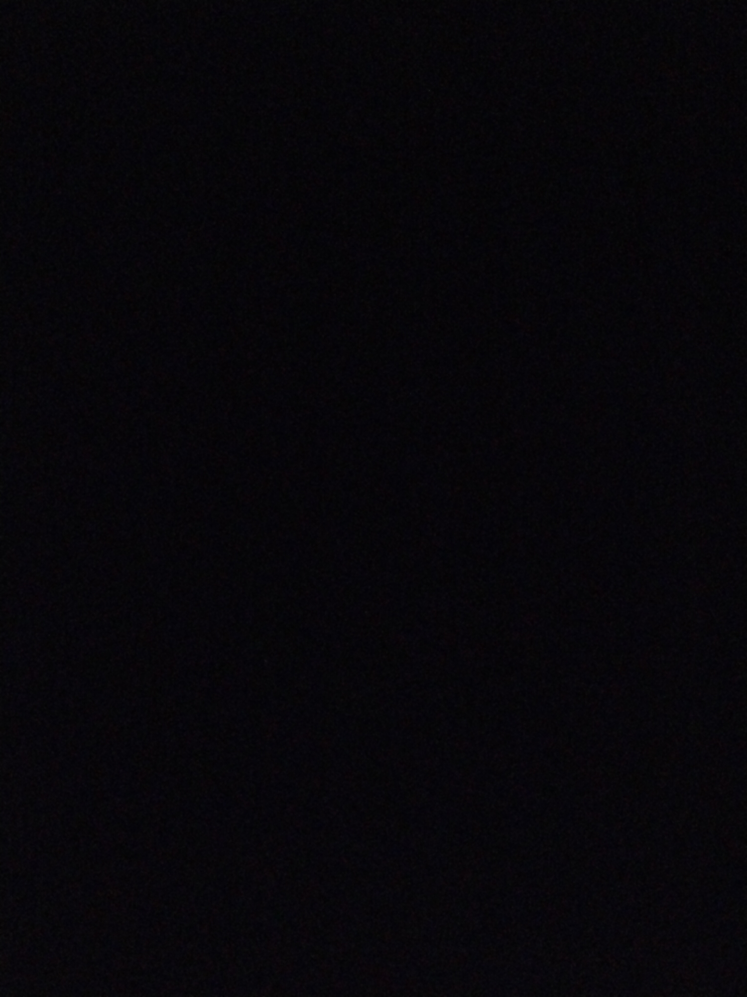 The image is completely black, providing no discernible information about location, people, subjects, objects, actions, interactions, or the environment.