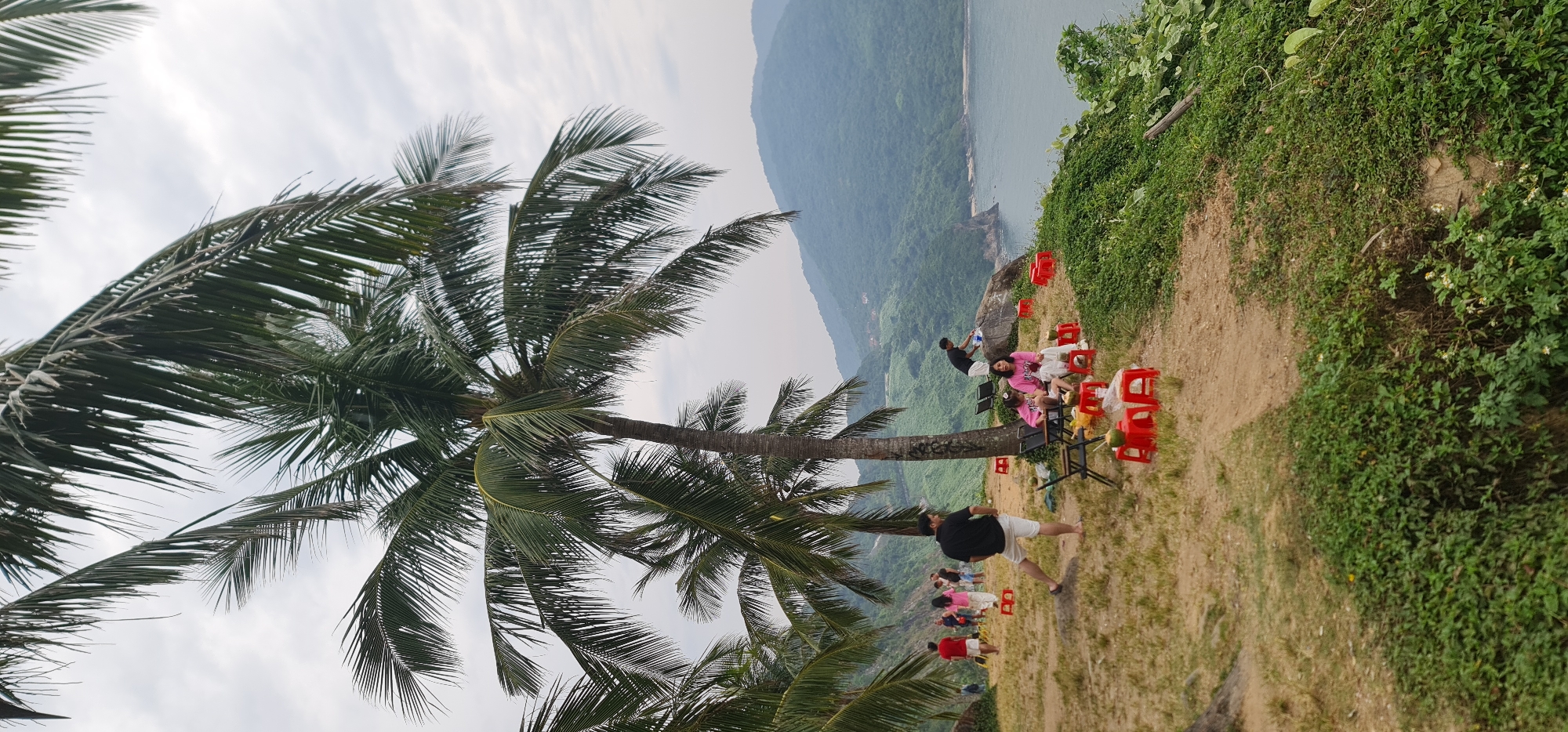 The image displays a scenic coastal landscape, likely a clifftop view, in a tropical setting. A large palm tree with vibrant green fronds dominates the left side of the foreground, its trunk visible against a cloudy, overcast sky.
On the right side of the foreground, a group of people are gathered on a dirt and grassy area. They are seated on bright red plastic stools around small black folding tables. Several green coconuts, some appearing freshly prepared for drinking, are visible on and around the tables, suggesting they are enjoying fresh coconut water. One person in a black t-shirt and white shorts stands facing away from the viewer, looking out at the vista, while another individual in a black shirt appears to be serving or attending to a smaller group further back.
The background reveals a serene bay or inlet with calm, blue-grey water, flanked by lush green, mist-covered mountains. The slopes leading down to the water are densely vegetated. The light is diffused, indicating an overcast day, possibly late morning or afternoon. The overall scene depicts a casual, relaxing outdoor gathering, with people enjoying refreshments amidst a picturesque natural environment, typical of a coastal area like Da Nang, Vietnam. No visible text is present in the image.