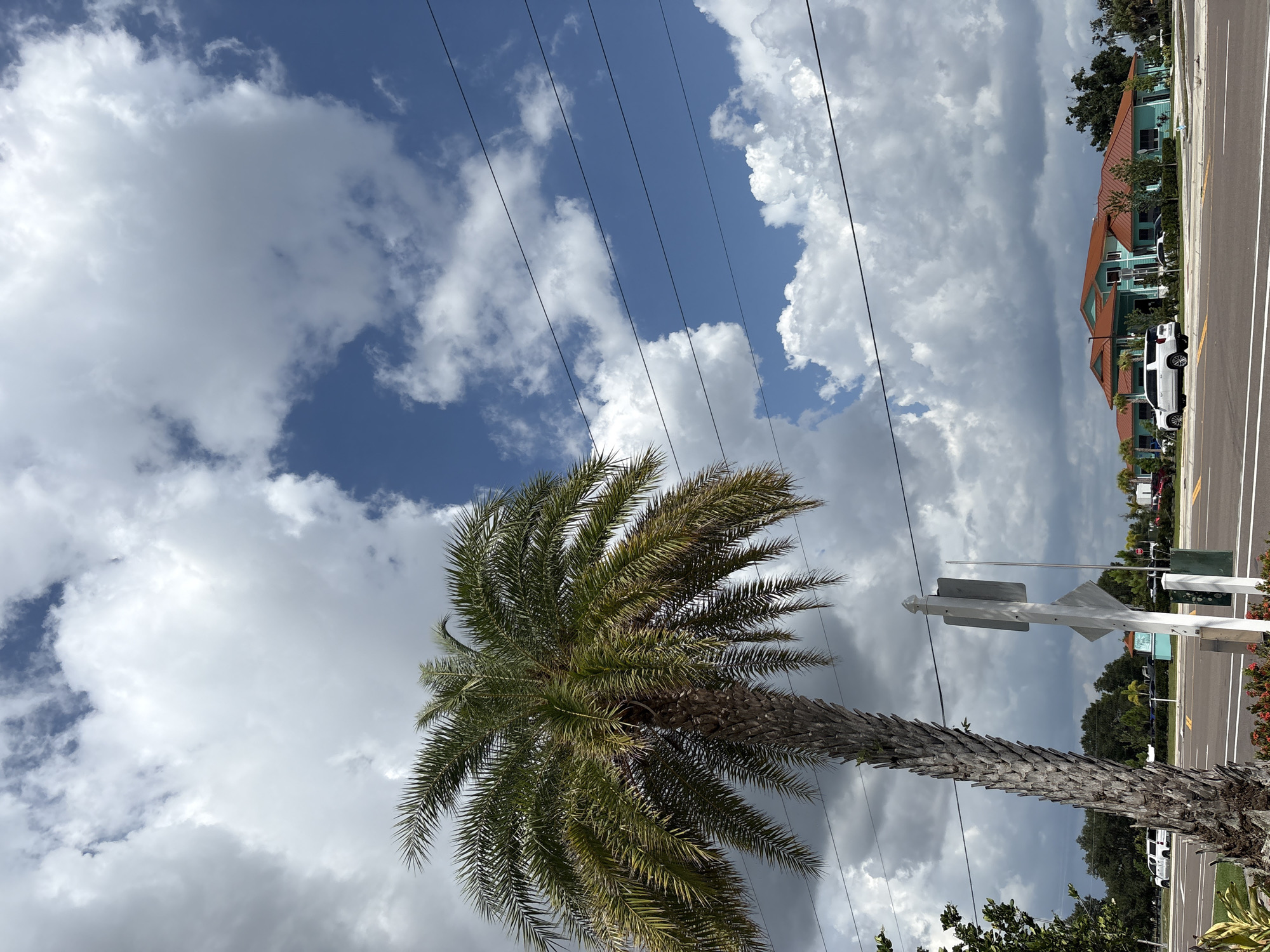 A medium shot captures a palm tree in the foreground with a bright blue sky filled with white clouds behind it. The palm tree's trunk is textured and grayish-brown, and its fronds are green with some yellowing. In the background, a turquoise building with orange roofs is visible. Several cars are parked in front of the building, and power lines run diagonally across the sky. The scene appears to be set in Parrish, Florida, United States.
