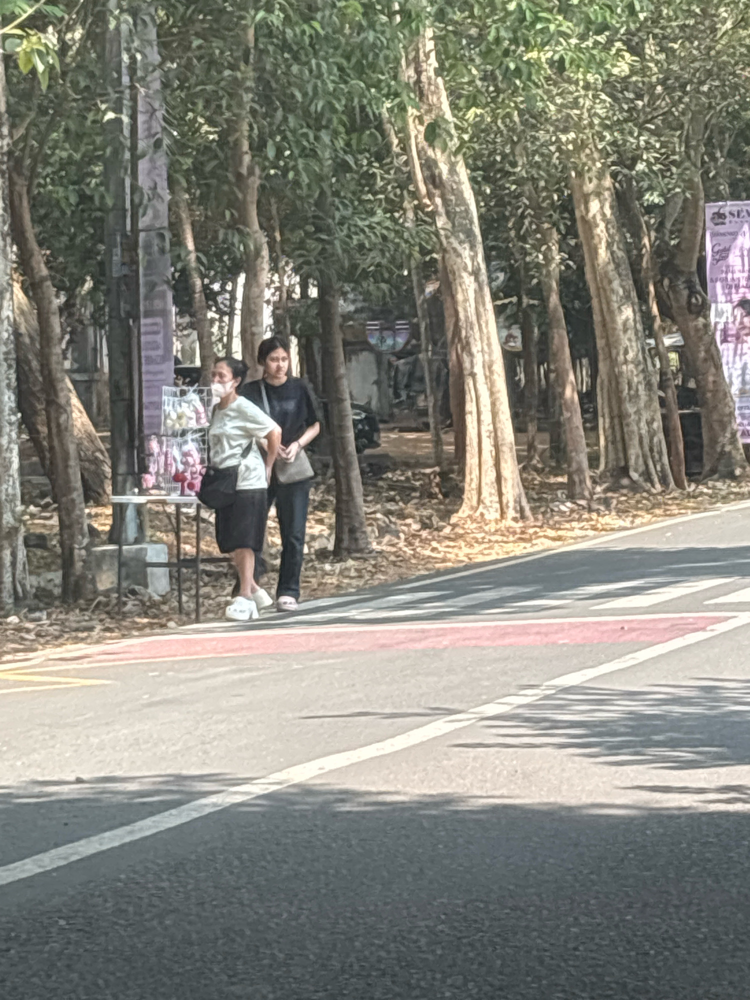 Two individuals, a woman wearing a light-colored t-shirt, a dark skirt, and a white face mask, and another woman in a dark t-shirt and dark pants, stand beside a table displaying goods. The table is positioned in front of a line of trees. The ground around the table is covered with dry leaves. The scene appears to be alongside a road, indicated by the presence of a crosswalk with red and white markings and white lane dividers. The lighting suggests it is daytime, with shadows cast by the trees on the road. The overall environment suggests a public area, possibly a street or park adjacent to a road, in Malang, Indonesia.