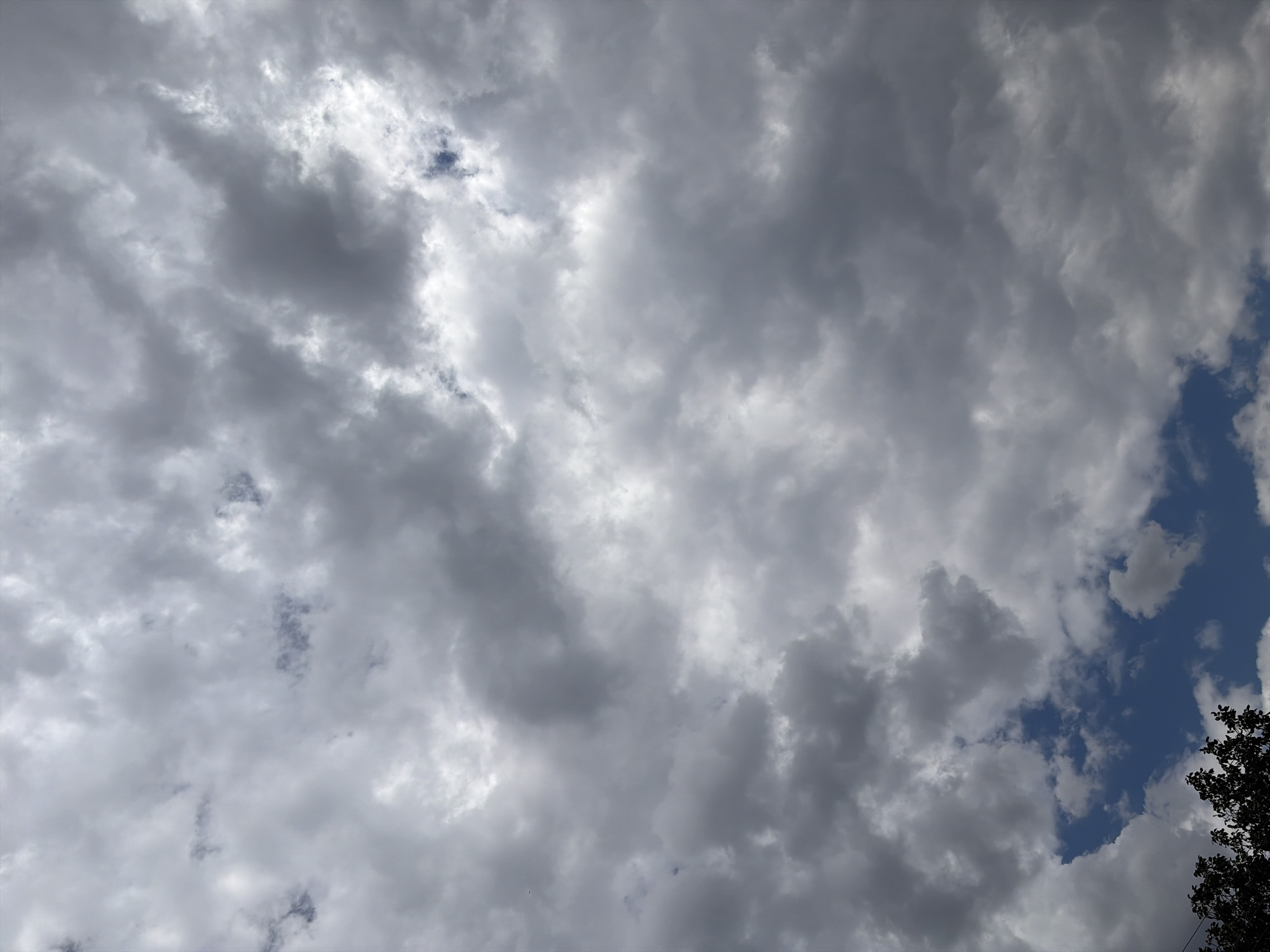 The image is an outdoor, vertical shot of a cloudy sky over the city of Oxentea, Moldova. The sky is filled with a mixture of light and dark gray clouds, with some patches of blue visible in between. The clouds appear dense and textured, suggesting a potentially stormy or overcast day. In the lower left corner, the dark silhouettes of tree branches are visible, indicating the presence of vegetation and possibly a park or residential area. There are no people or specific man-made structures clearly identifiable within the frame, other than the implication of the city below the sky. The scene is entirely natural, focusing on atmospheric conditions.