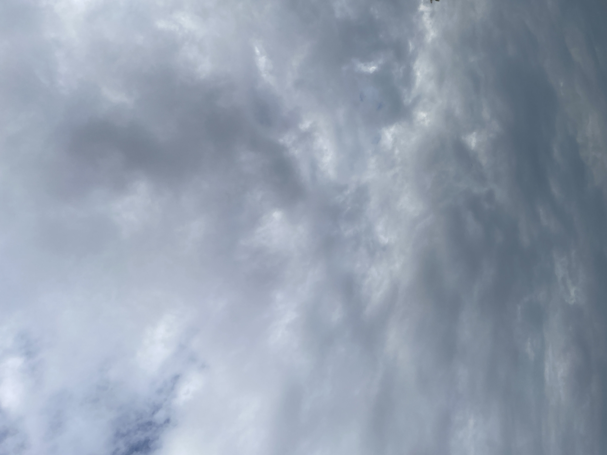 The image shows a cloudy sky over Jauro Yinu, Nigeria. The clouds are thick and gray, with some lighter patches suggesting breaks in the cloud cover. There are no people or structures visible in the image. The overall impression is of an overcast day.