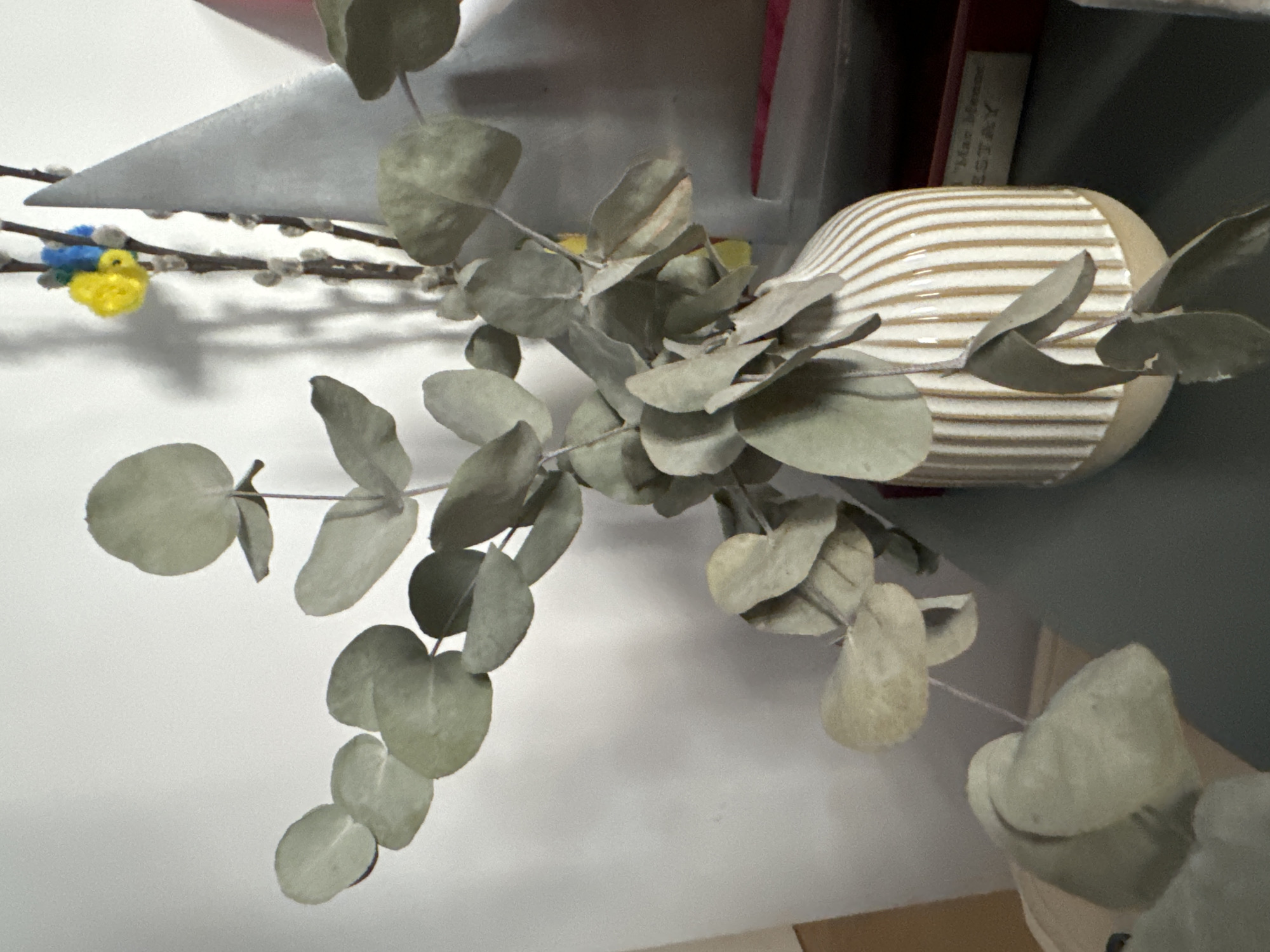 A sprig of dried eucalyptus branches with round, grey-green leaves is arranged in a small, decorative vase. The vase has a cream-colored base and is decorated with vertical, thin, raised golden stripes. Behind the eucalyptus, a thin branch with small, fuzzy buds, resembling pussy willows, is visible. On this branch, a small, yellow and blue pom-pom adornment is attached. To the right of the branch, a grey, conical object, possibly a party hat, stands upright. Further to the right, a red book or box with a label that reads "Mac Monroe ESTAY" is partially visible. The background is a plain white wall. The scene is dimly lit, suggesting an indoor setting. There are no people or animals present in the image, and no identifiable landmarks suggest a specific location in the city of Murcia, Spain.
