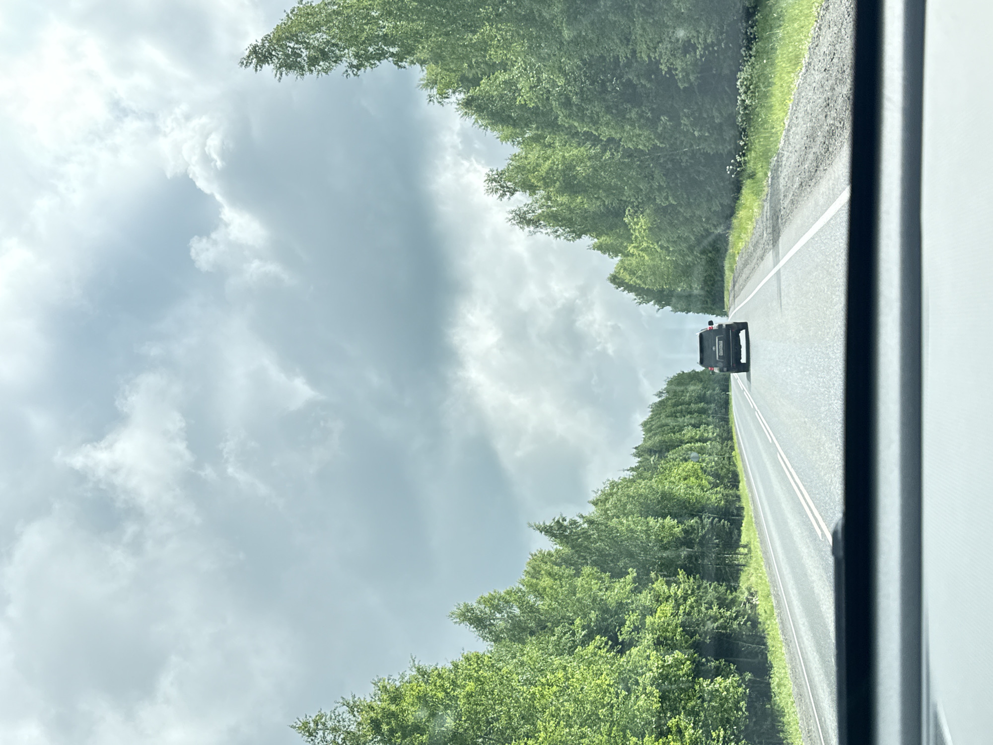 The media file presents a view from inside a moving vehicle, looking ahead down a straight, two-lane asphalt road. The original image is rotated 90 degrees clockwise, but when viewed correctly, the road extends into the distance under a broad sky. Dense green trees line both sides of the road, forming a continuous natural corridor, suggesting a rural or forested setting.

In the far distance, a dark-colored SUV or car is visible, moving away from the viewer. The road features clear white lane markings, likely indicating a two-way thoroughfare. The sky is extensively covered with varying shades of grey clouds, suggesting an overcast but bright daytime, with no direct sunlight visible. A portion of the camera's vehicle, possibly a window frame or pillar, is visible as a blurry, dark vertical strip on the right side of the foreground.

The primary activity depicted is driving or traveling by road. A notable detail is the visible text on the license plate of the distant car. The plate clearly displays "RUS" at the top center, identifying the country as Russia. Below this, the regional code "136" is visible, which corresponds to the Voronezh Oblast, the administrative region where Anninsk is located. The main characters on the plate appear to be "O 011 EE". The scene evokes a sense of journey through a green, expansive landscape under a cloudy sky.