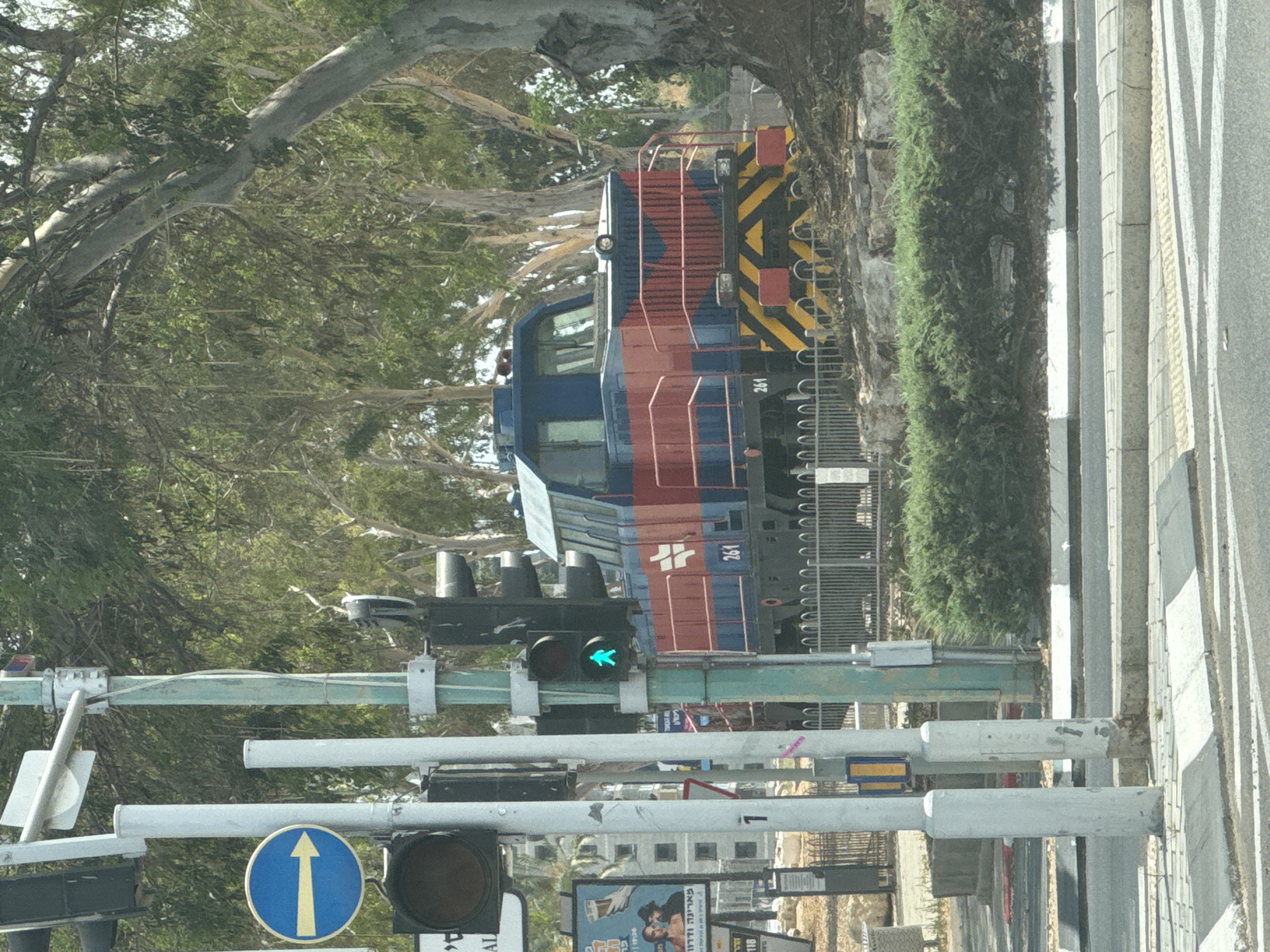 The image captures a street scene in Petah Tikva, Israel, with a blue and red locomotive as the central subject. The train is positioned behind a metal fence, with a lush green hedge in the foreground. To the left of the train, traffic lights are visible, with a pedestrian signal showing a green walking figure, indicating that it is safe for pedestrians to cross. A blue circular road sign with a yellow arrow pointing to the right is also present on a traffic light pole. The environment is characterized by trees with light-colored bark, suggesting a park or tree-lined street. The ground appears to be paved with a pedestrian crossing marked by white and grey stripes. The lighting suggests it is daytime.
