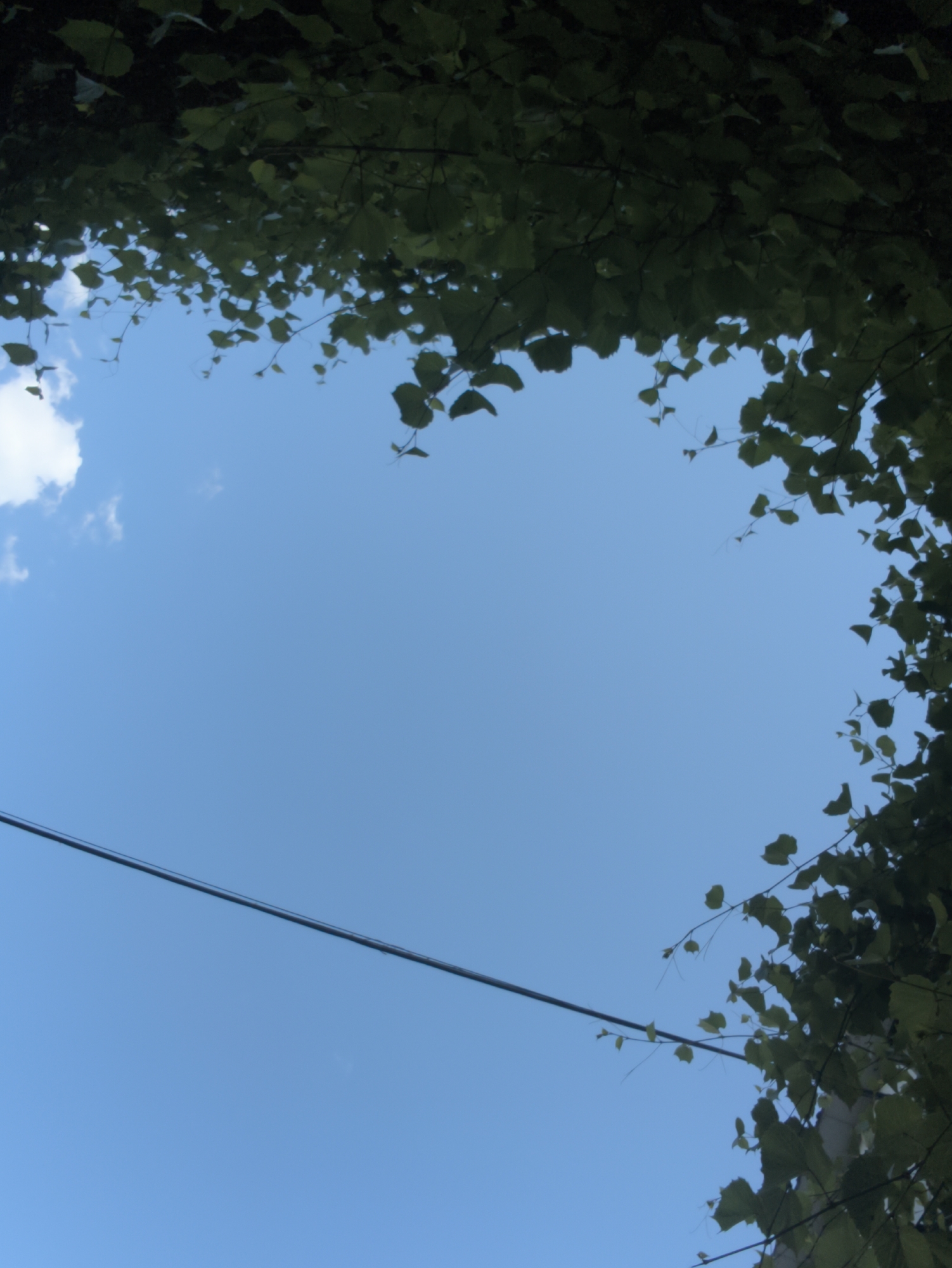 This is a low-angle shot of a clear blue sky framed by dark green foliage on the top and right sides. A black wire runs diagonally across the lower portion of the frame from left to right. The scene appears to be outdoors, possibly in a park or a residential area with trees and overhead wires. The presence of the wire suggests an urban or suburban setting within Chișinău, Moldova. No people or animals are visible.